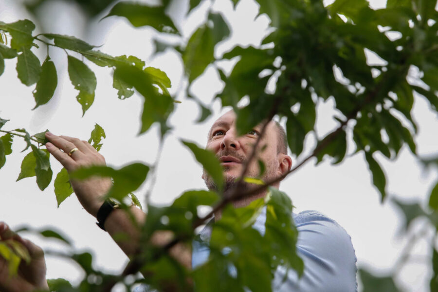 Deputado cultiva plantas no quintal de sua casa, em Cunha Porã