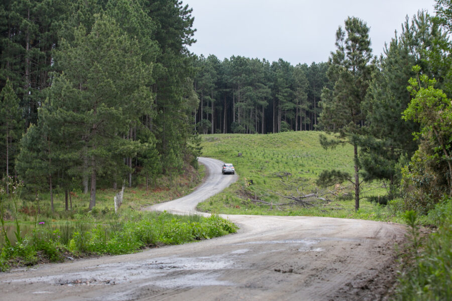 Estrada dos Tropeiros.