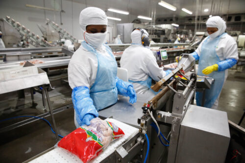 Oportunidade de emprego em frigoríficos no Oeste