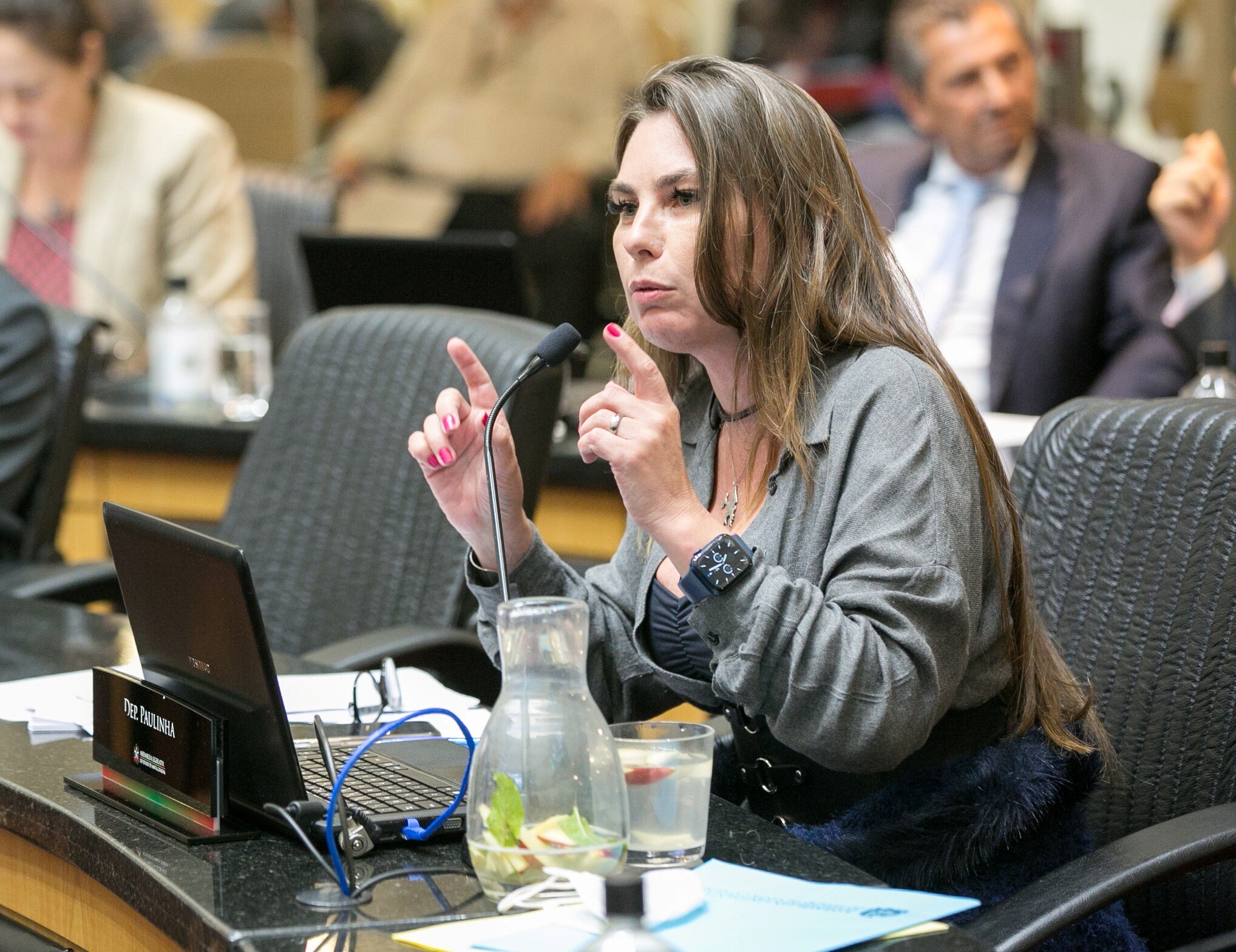 Paulinha critica novamente a falta de respeito do governo federal com SC