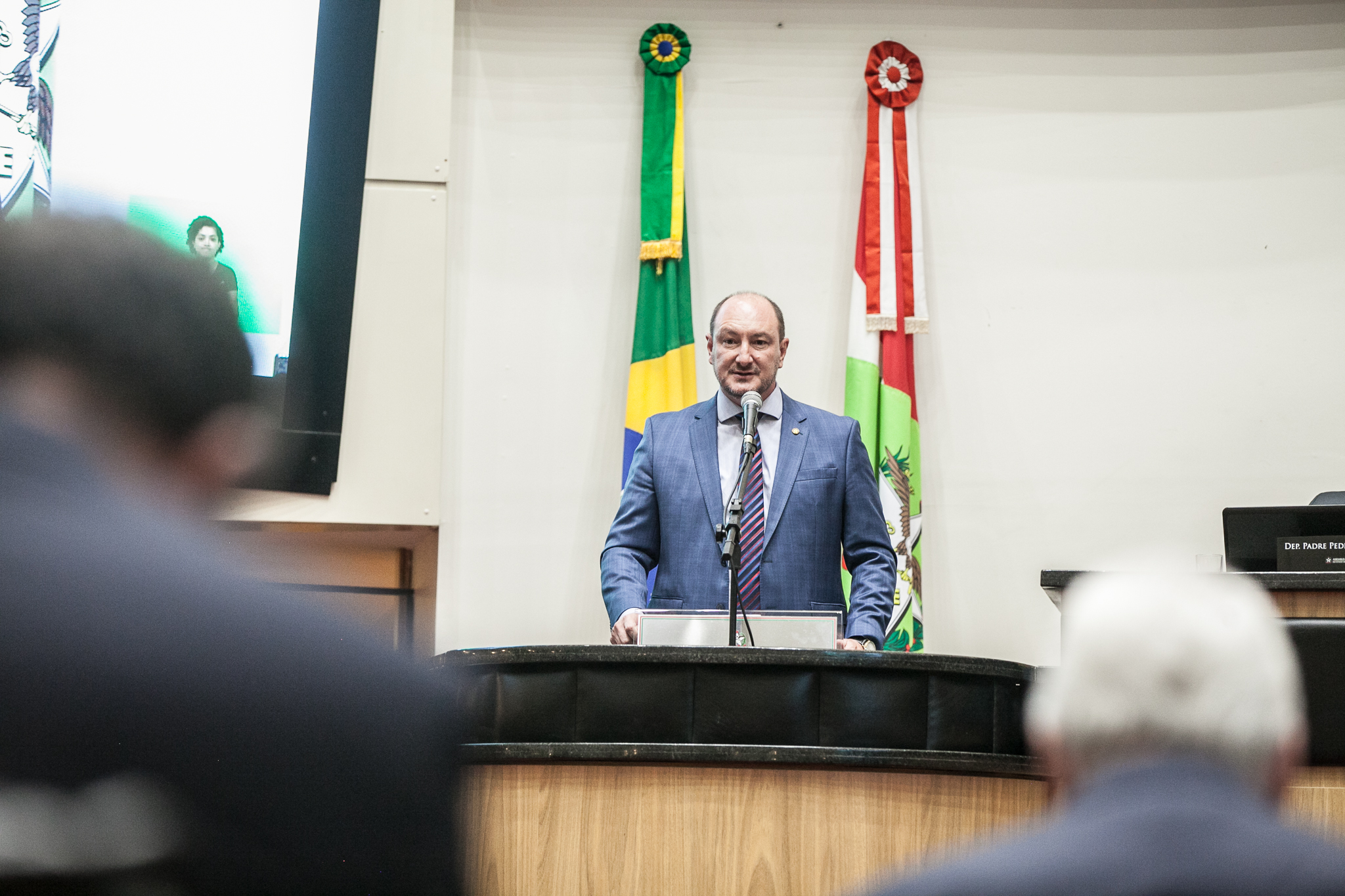 Deputado Mauro de Nadal (MDB)