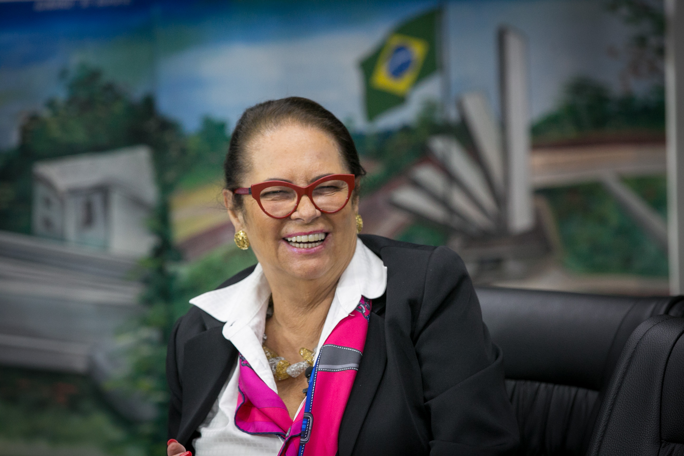 Deputada Ada De Luca (MDB)