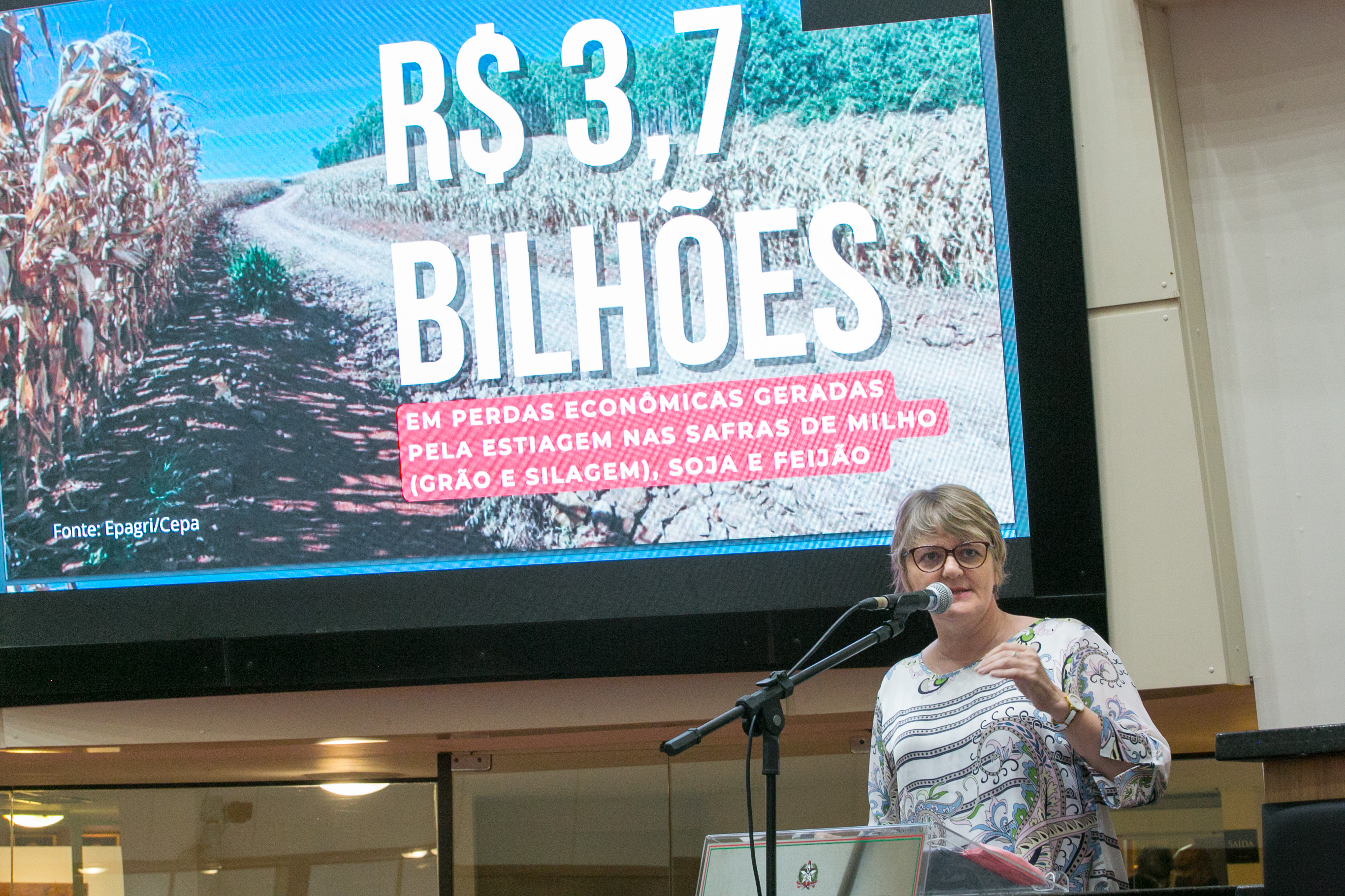 Deputada Luciane Carminatti (PT)