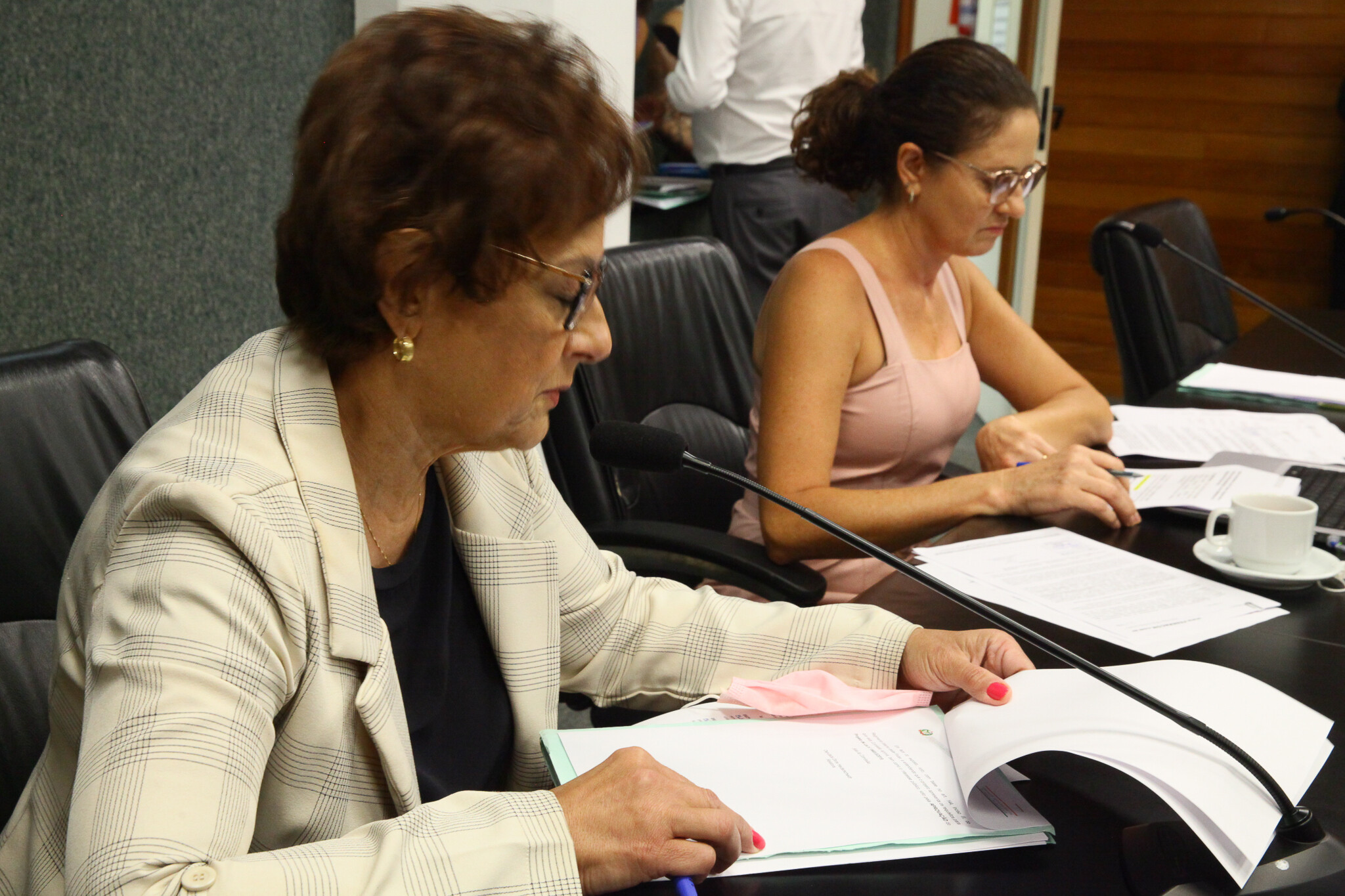 Deputadas Dirce Heiderscheidt e Marlene Fengler na Comissão de Defesa dos Direitos da Criança e do Adolescente