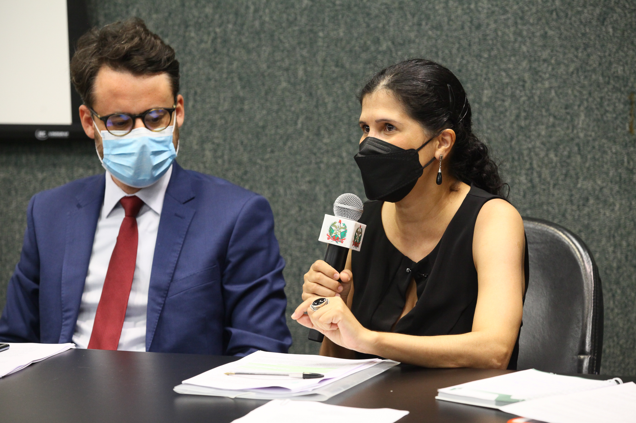 Seminário - Uma nova legislação para o Jovem Aprendiz - Luciana Xavier Sans de Carvalho (auditora fiscal do trabalho)