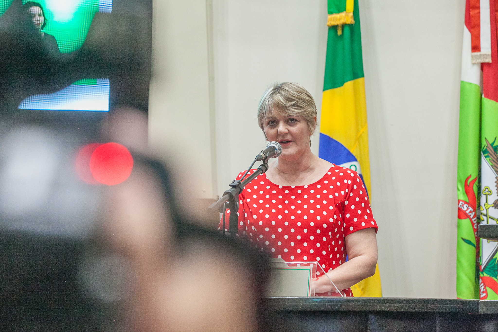 Deputada Luciane Carminatti (PT)