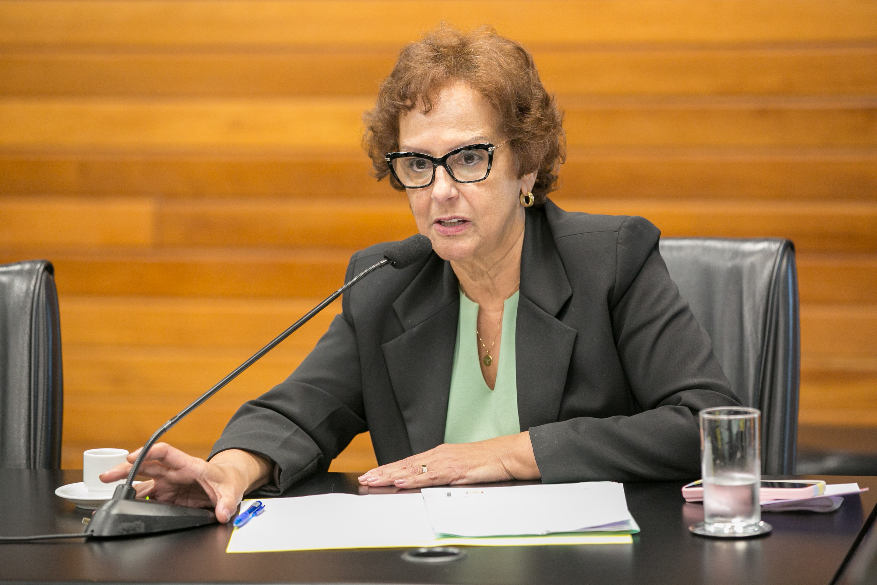 Deputada Dirce Heiderscheidt (MDB)