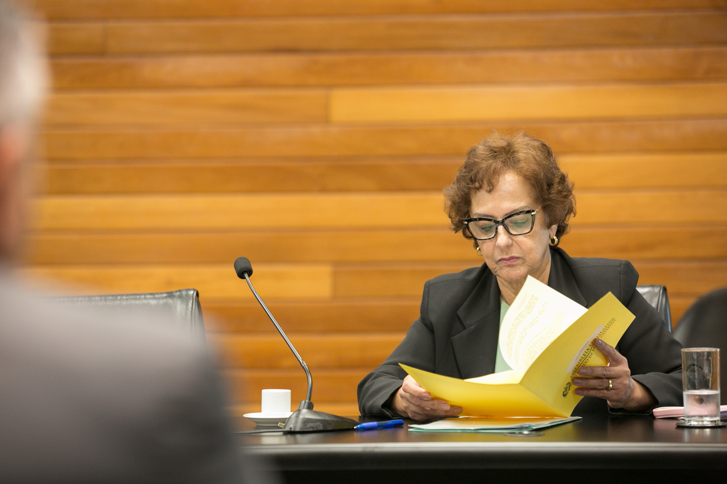Deputada Dirce Heiderscheidt (MDB)