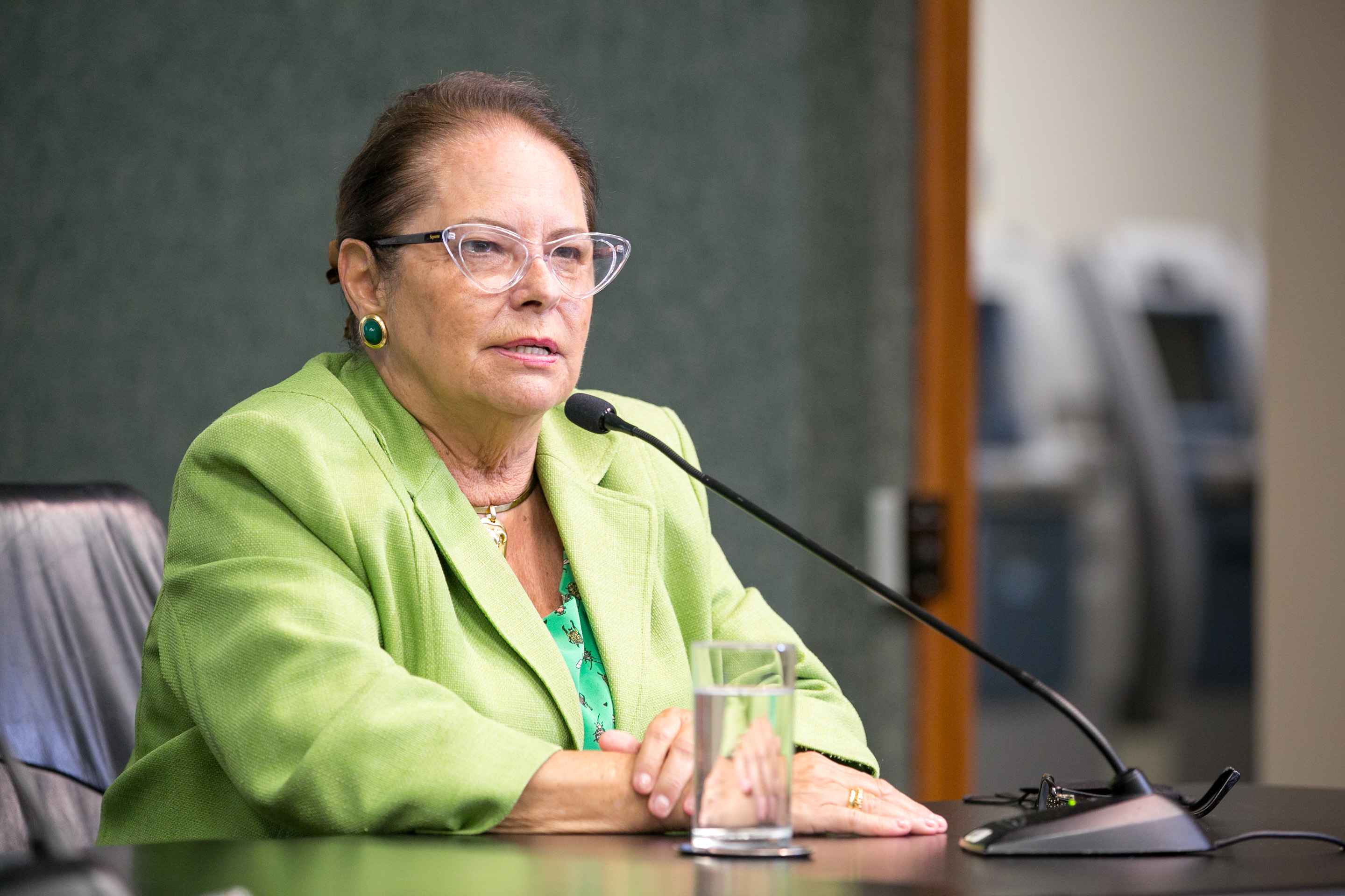Deputada Ada De Luca (MDB)