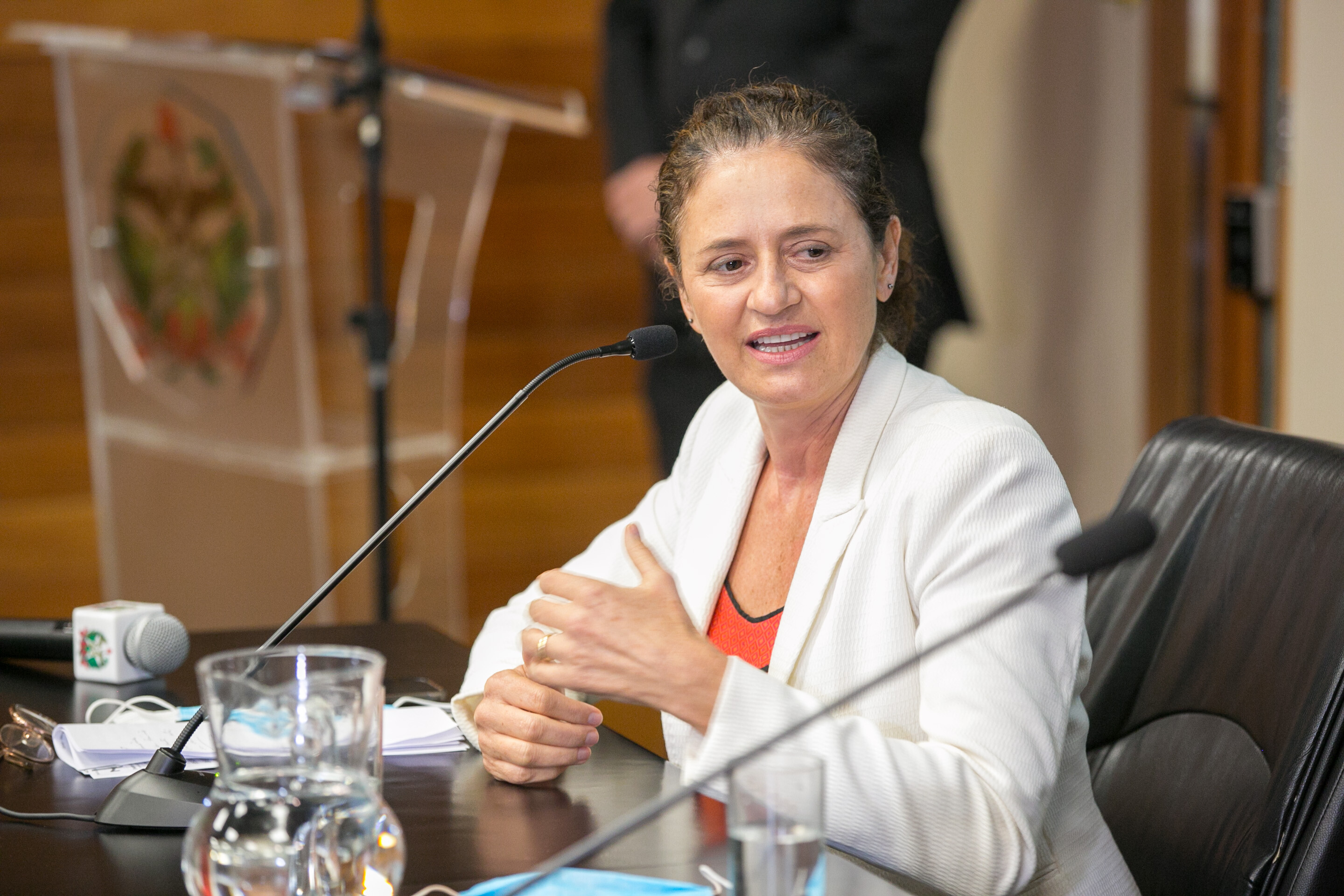 Deputada Marlene Fengler.