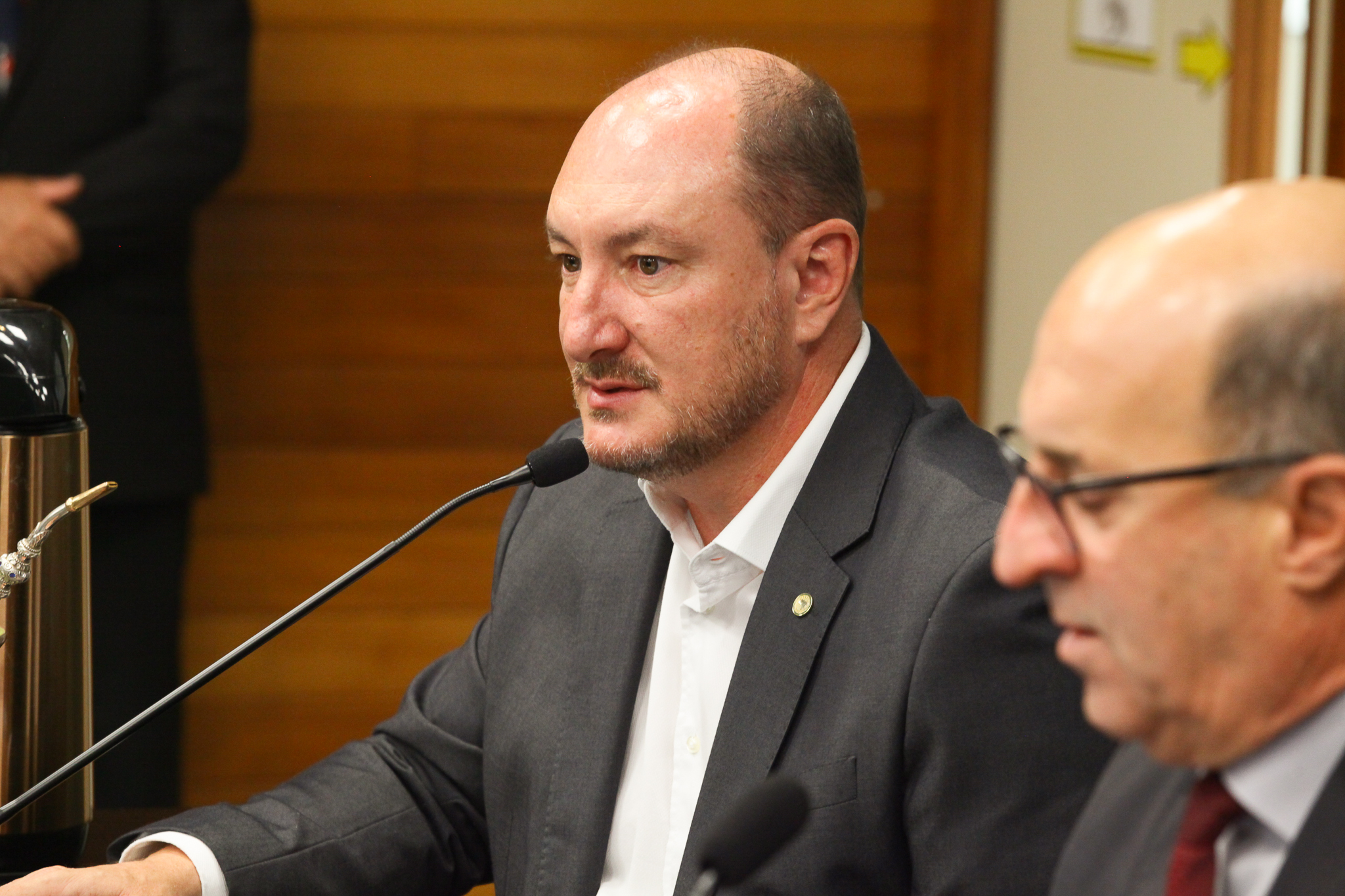 Comissão de Agricultura e Política Rural - Deputado Mauro de Nadal (MDB)