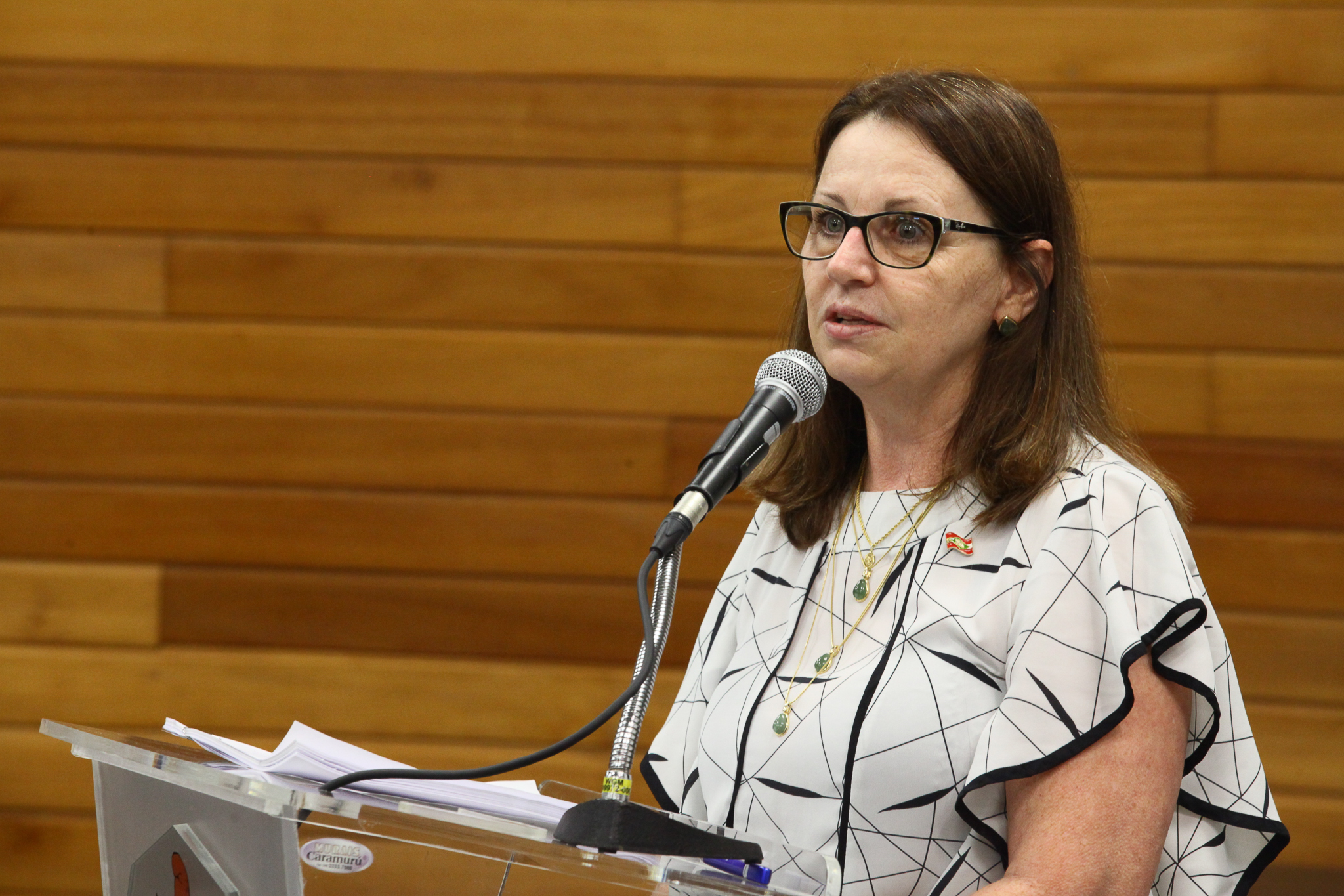 Reunião de Instalação da Frente Parlamentar em Defesa da Saúde Catarinense - Carmem Regina Delziovo, Superitendente de Planejamento em Saúde da SES