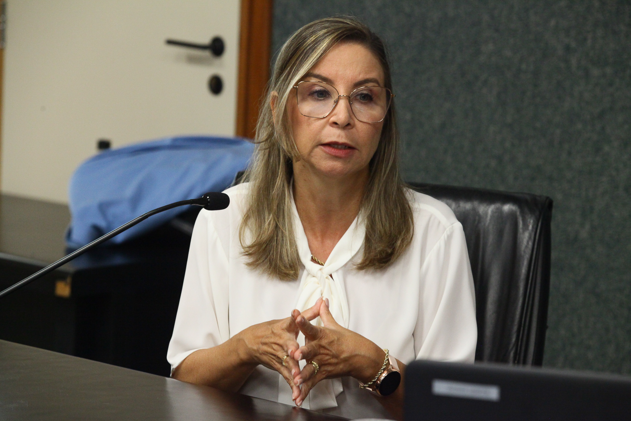 Comissão de Defesa dos Direitos da Criança e do Adolescente - Catarina Costa Marques