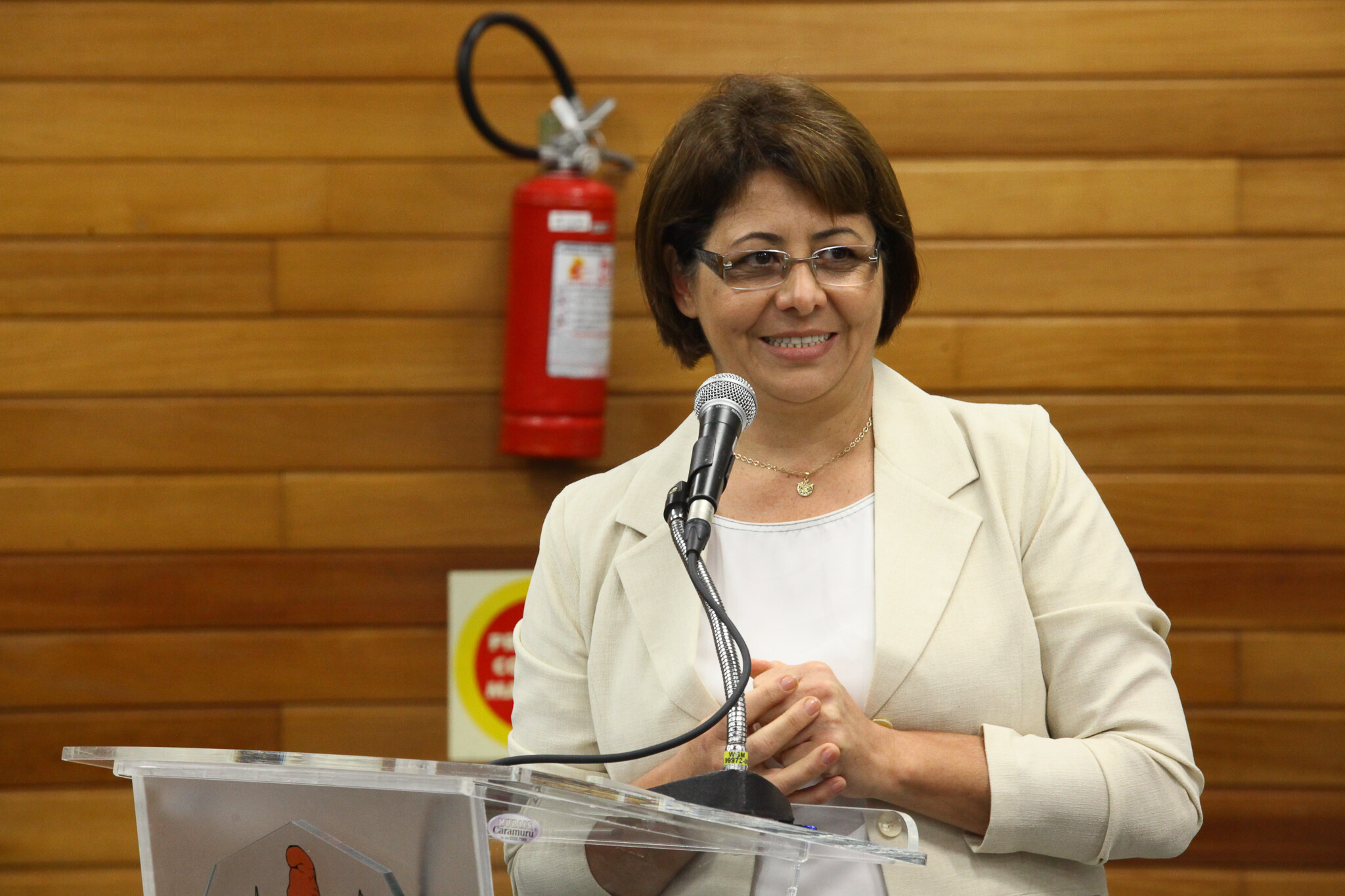 Presidente da Fehosc, Irmã Neusa Luiz