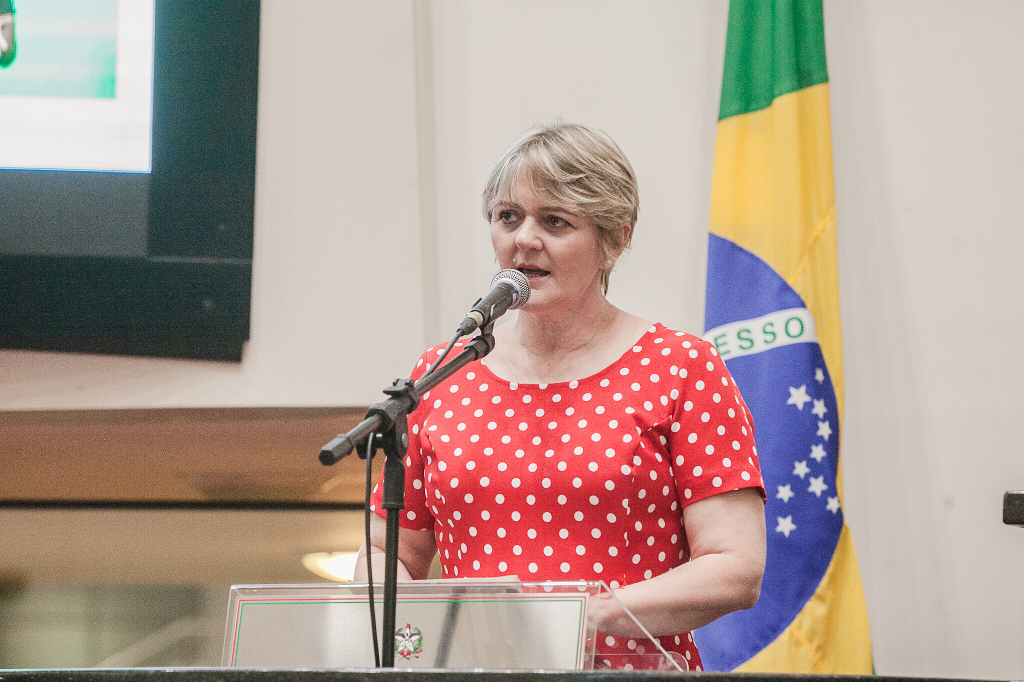Carminatti denuncia irregularidades na terceirização de serventes