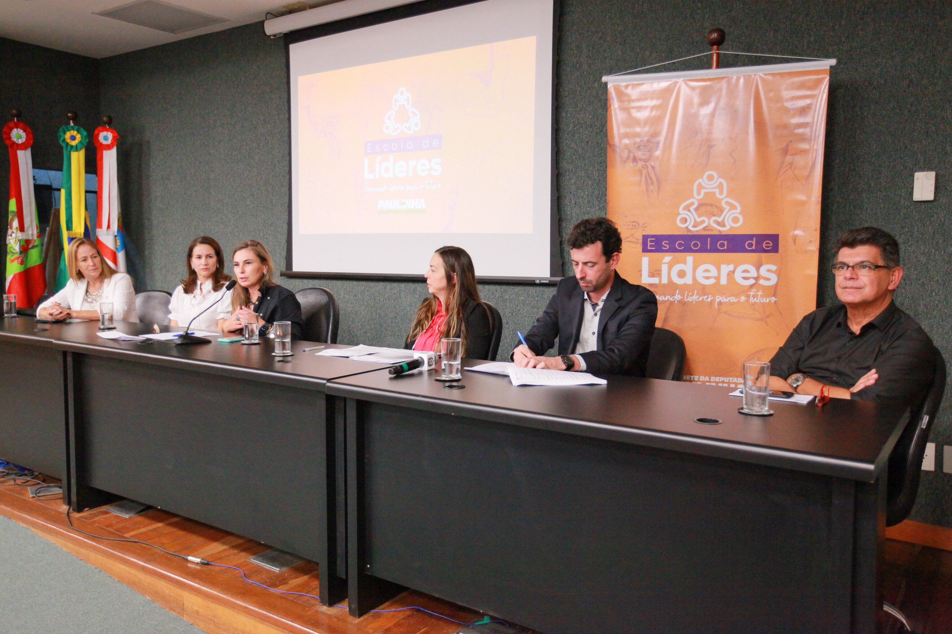 Paulinha propõe manter comitê permanente para Terceiro Setor