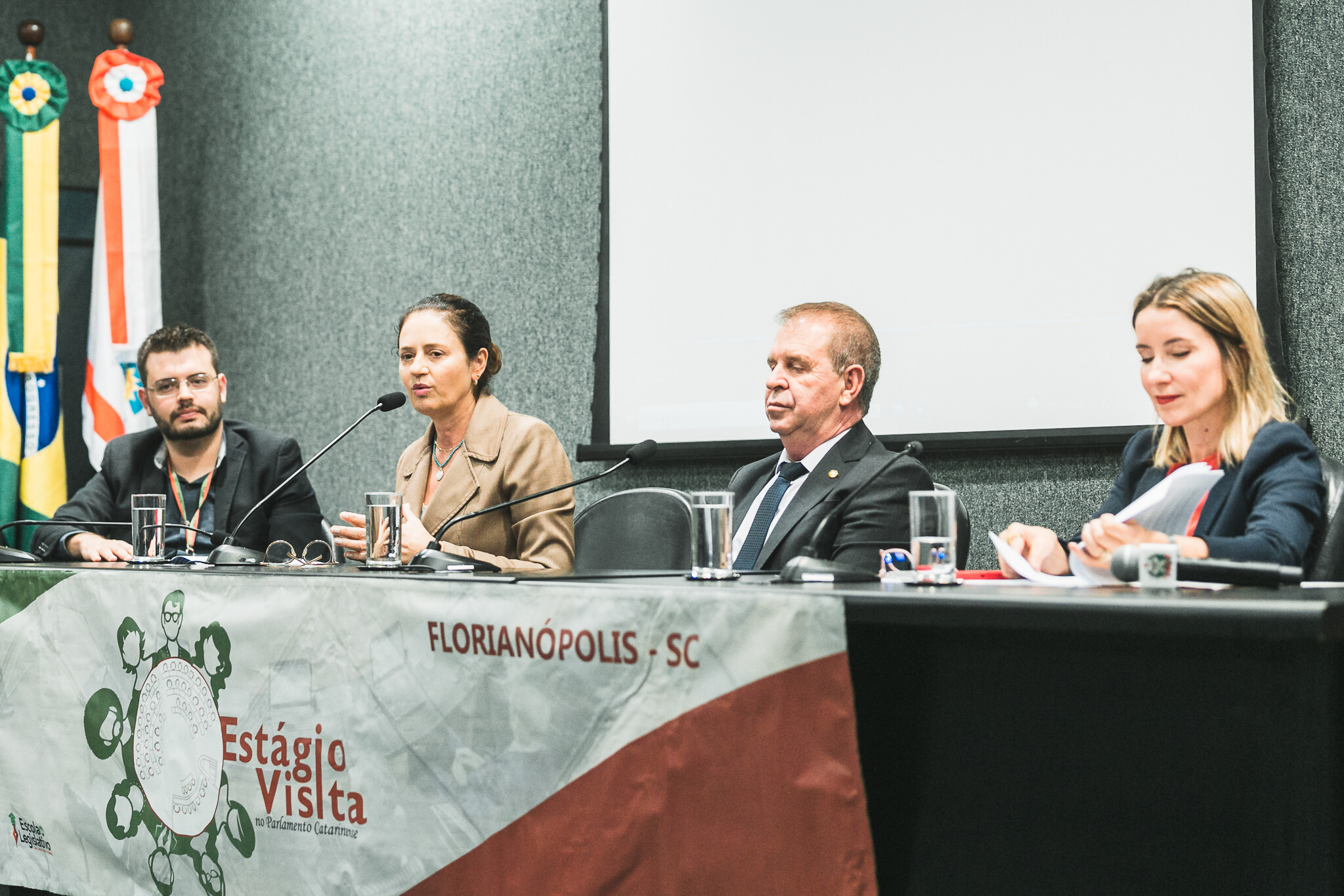 Deputada Marlene Fengler comandou os trabalhos