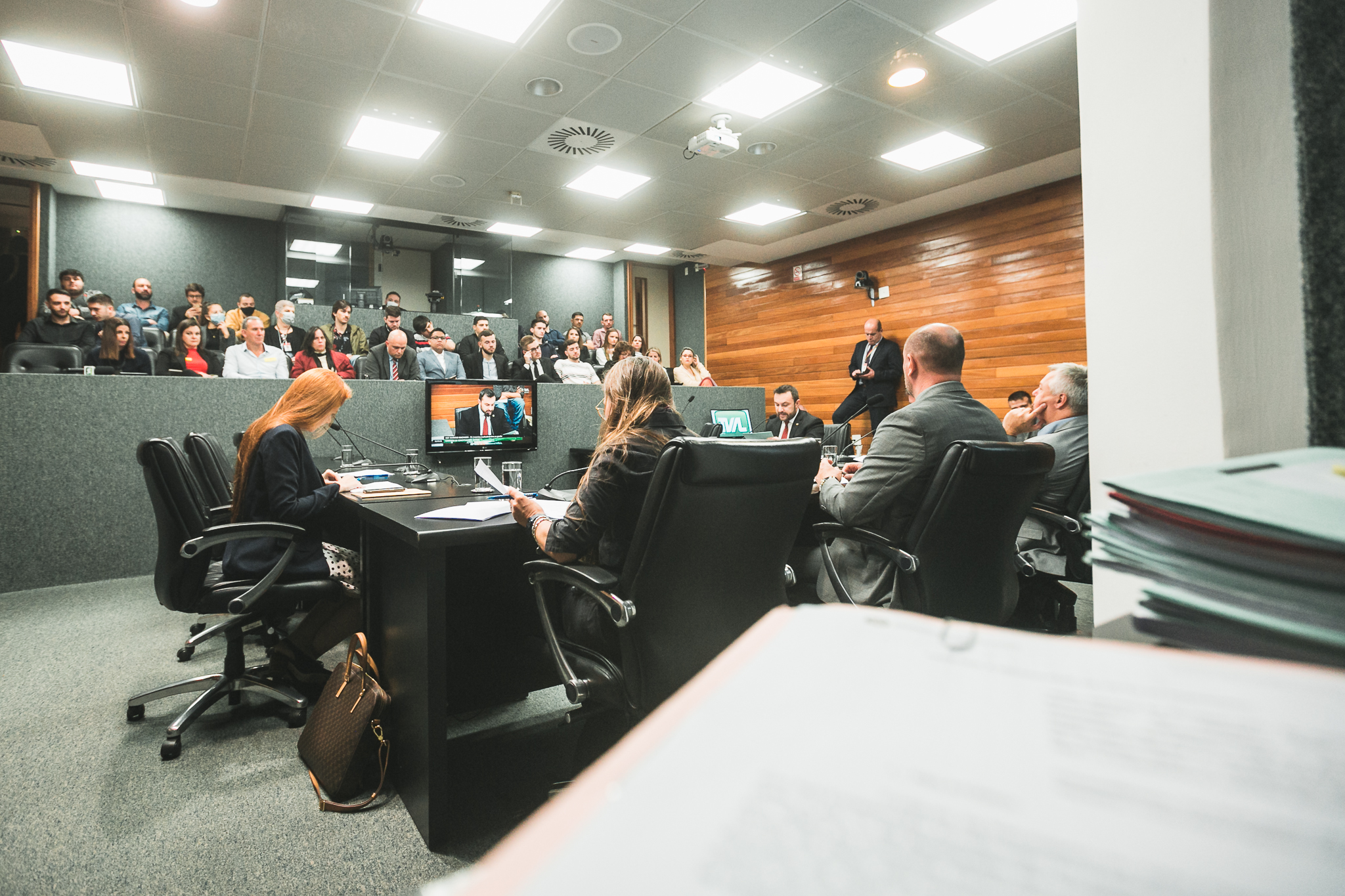 Comissão de Constituição e Justiça