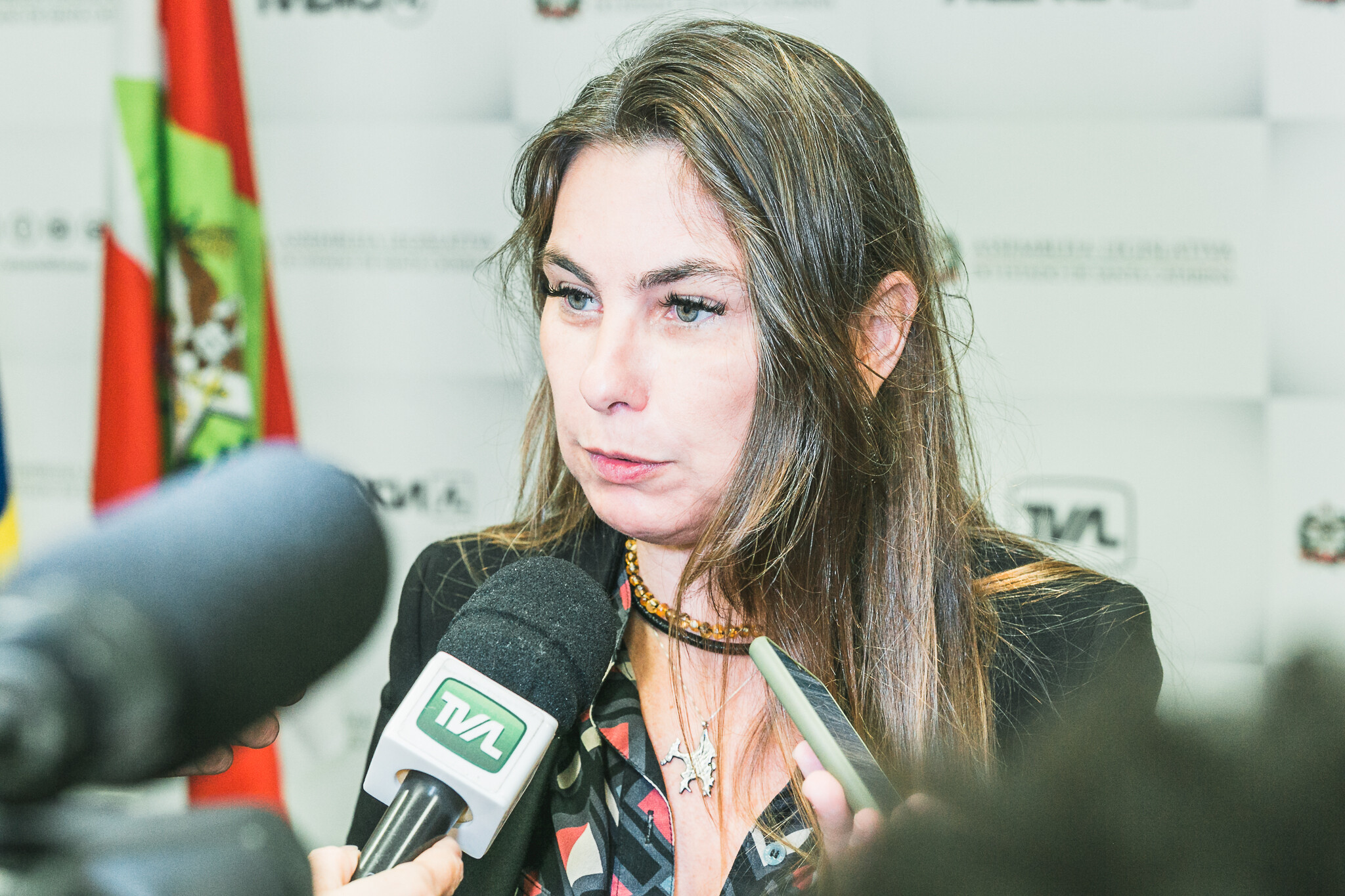Deputada Paulinha