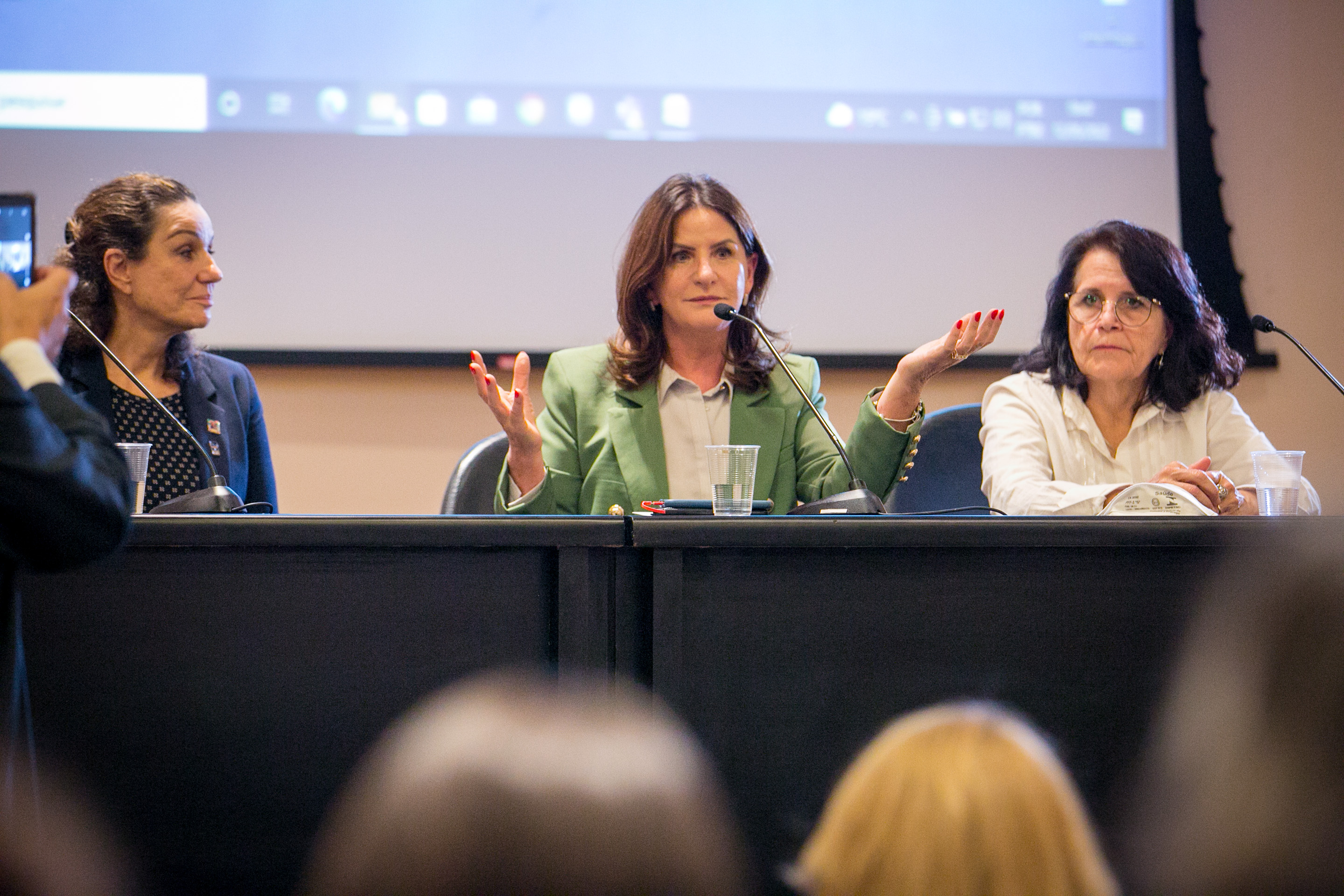Deputada federal Carmen Zanotto