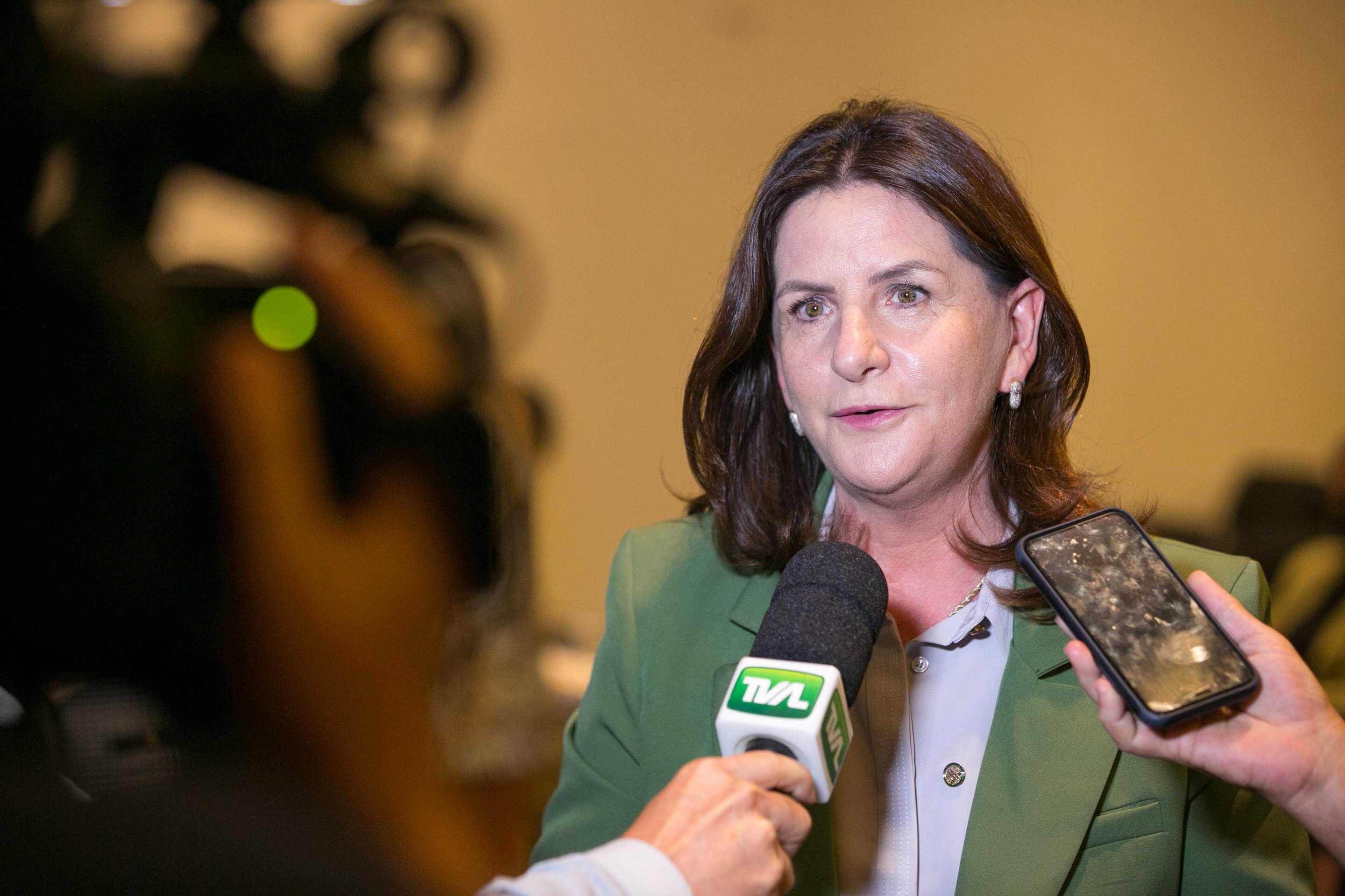 Deputada federal Carmen Zanotto