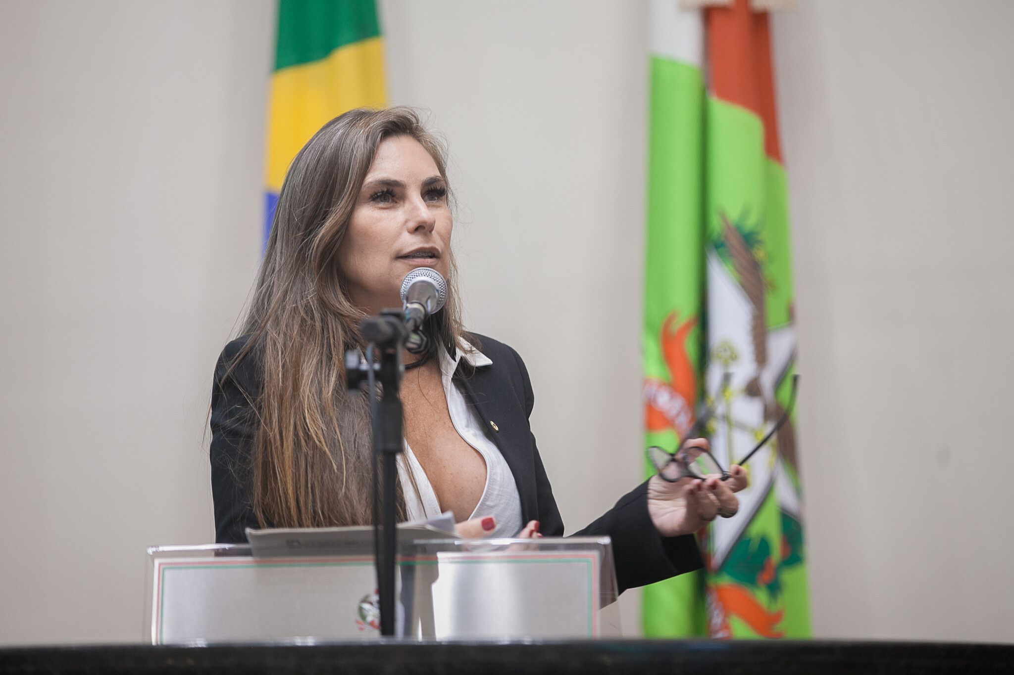 Deputada Paulinha