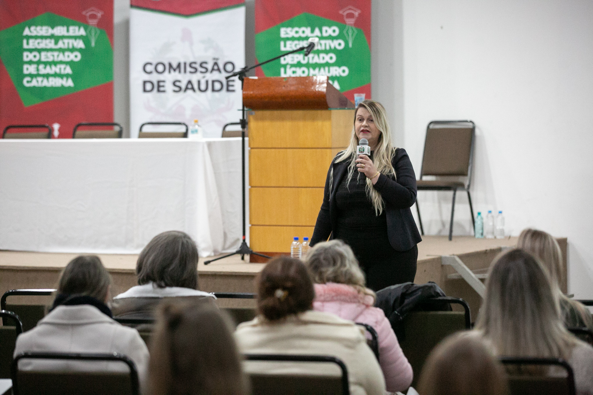 Coordenadora da área técnica da pessoa com deficiência da SES, Jaqueline Reginatto