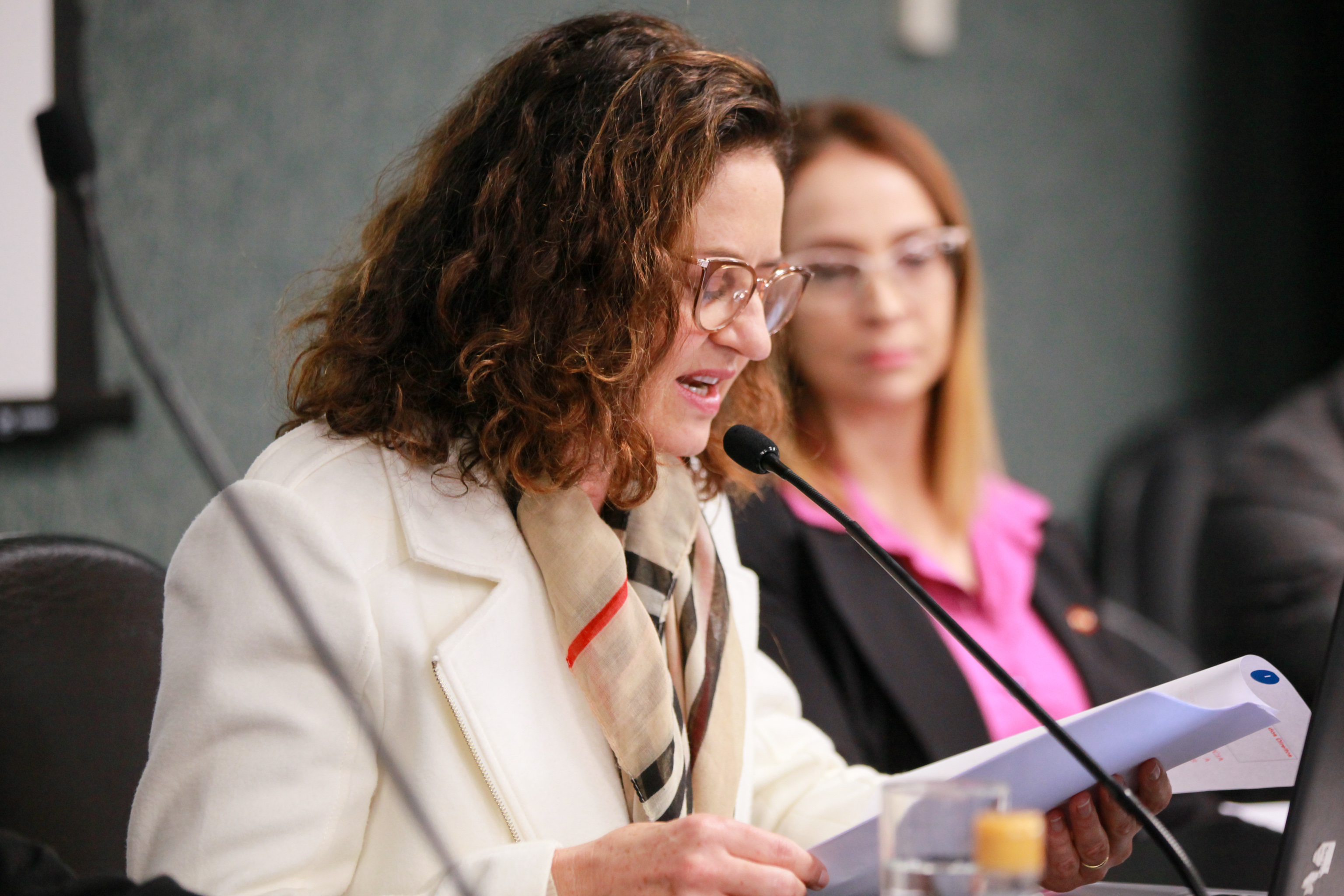 - Deputada Marlene Fengler (PSD)