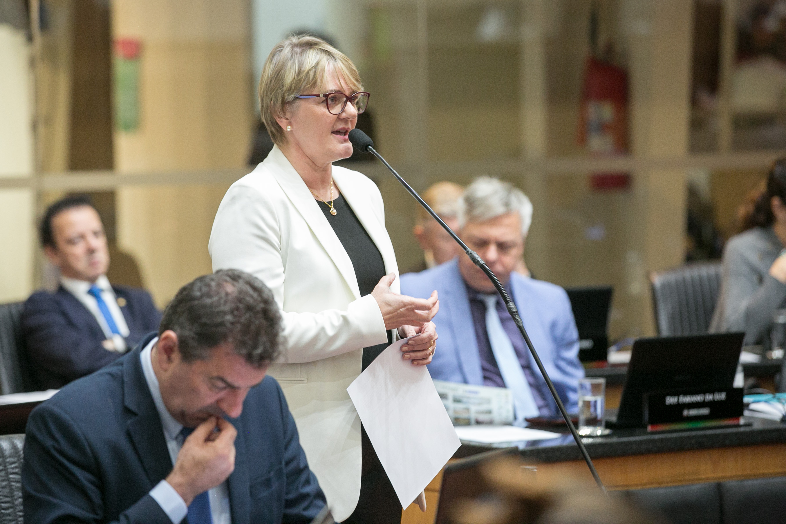 Deputada Luciane Carminatti (PT)