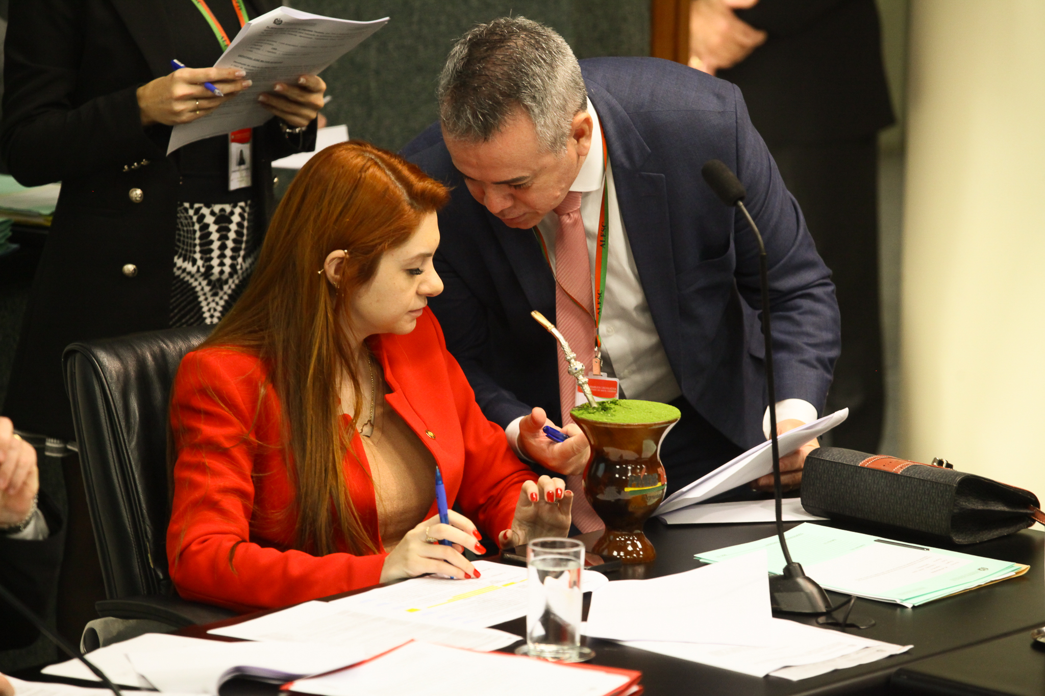 Comissão de Constituição e Justiça - Deputada Ana Caroline Campagnolo (PL)