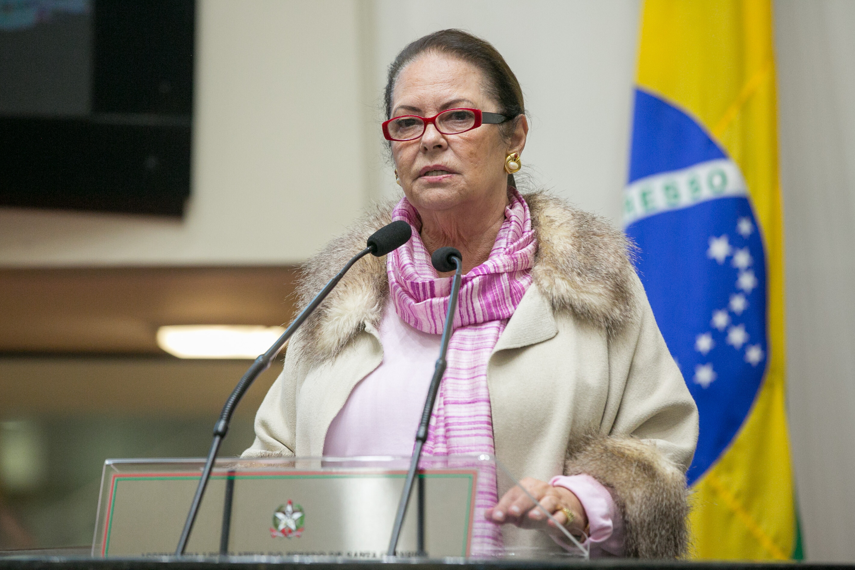 Deputados defendem recursos para hospital e para Rede Feminina
