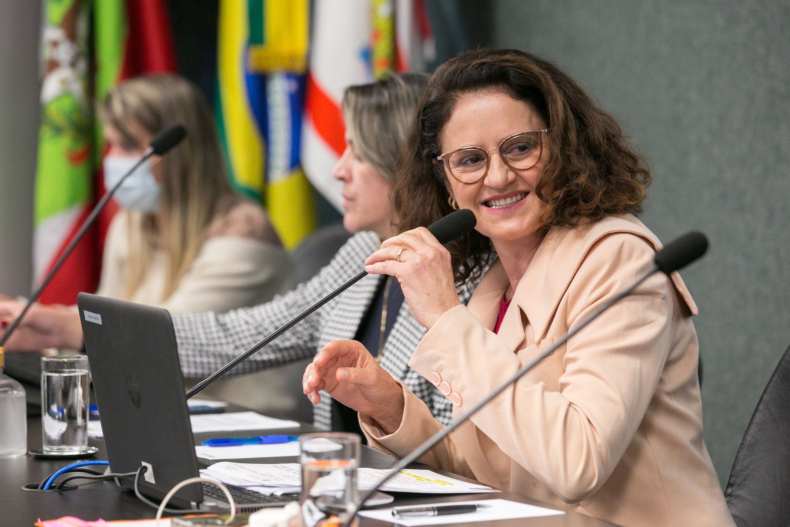 Deputada Marlene Fengler (PSD)