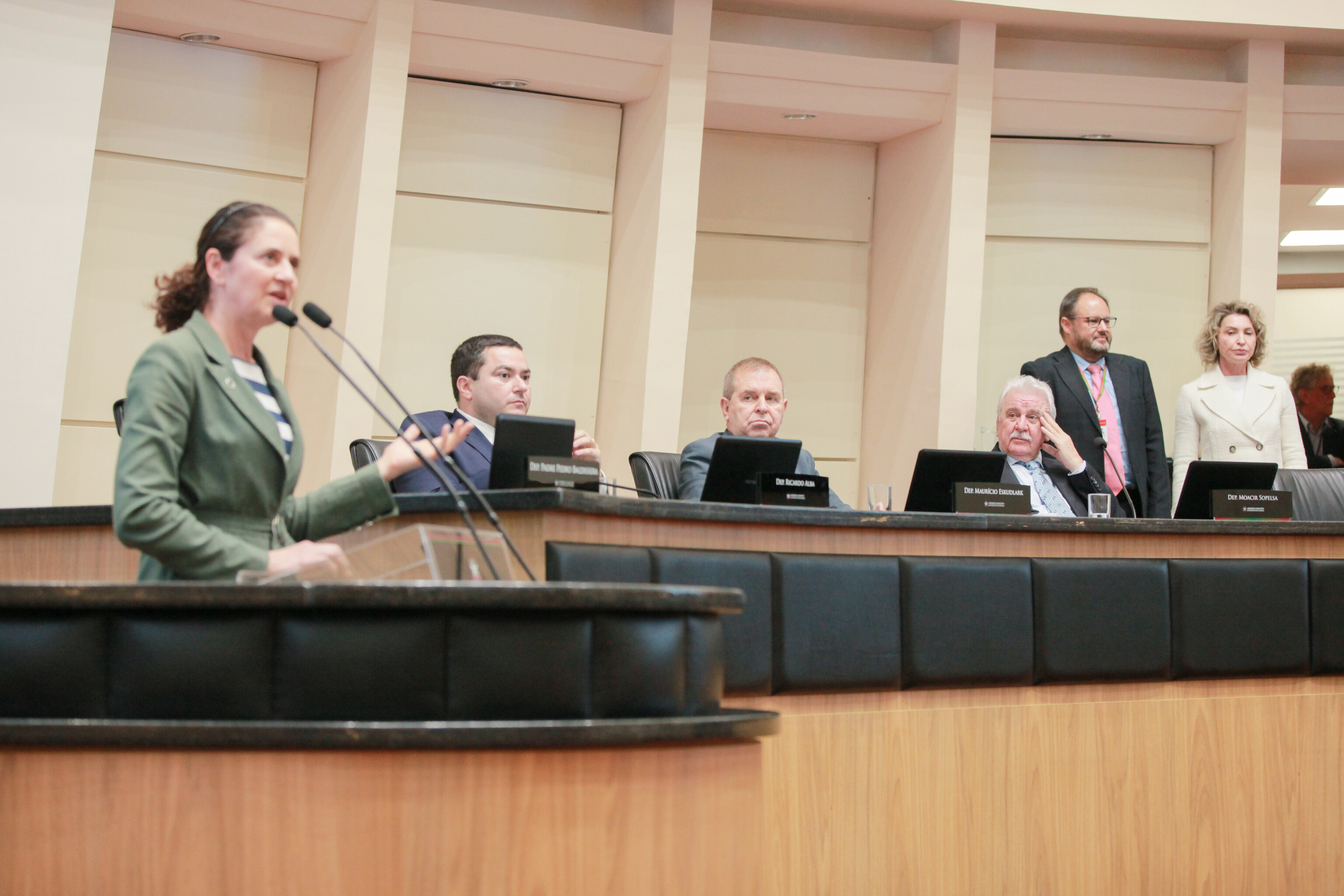 Deputada Marlene Fengler acompanha da tribuna o sorteio das escolas da próxima edição do Parlamento Jovem