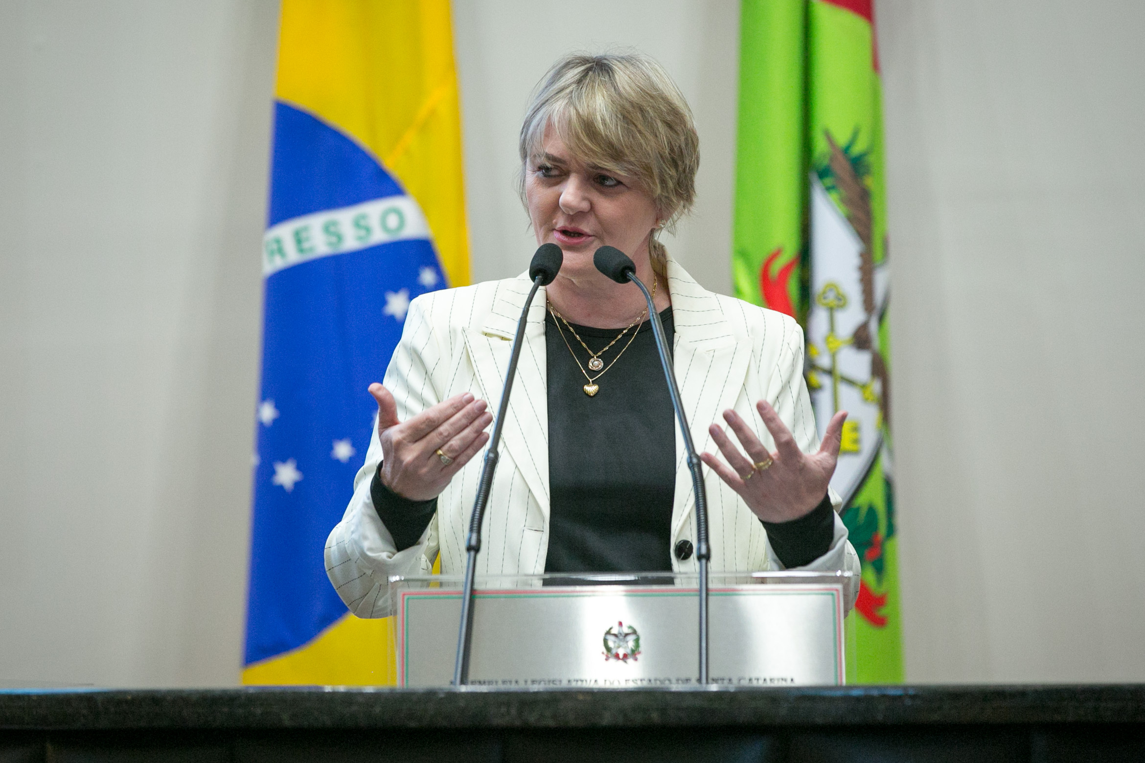 Deputada Luciane Carminatti (PT)