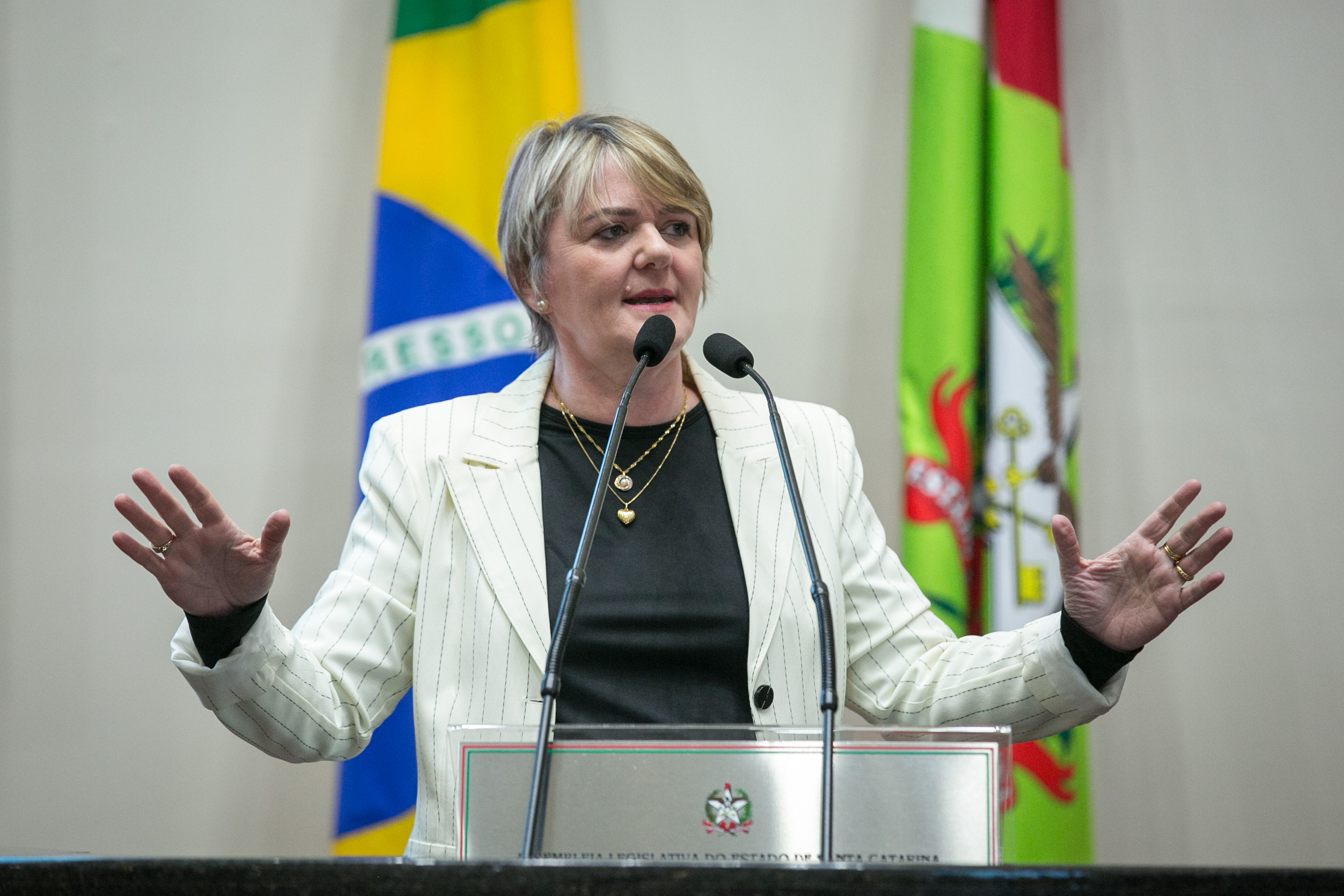 Deputada Luciane Carminatti (PT)