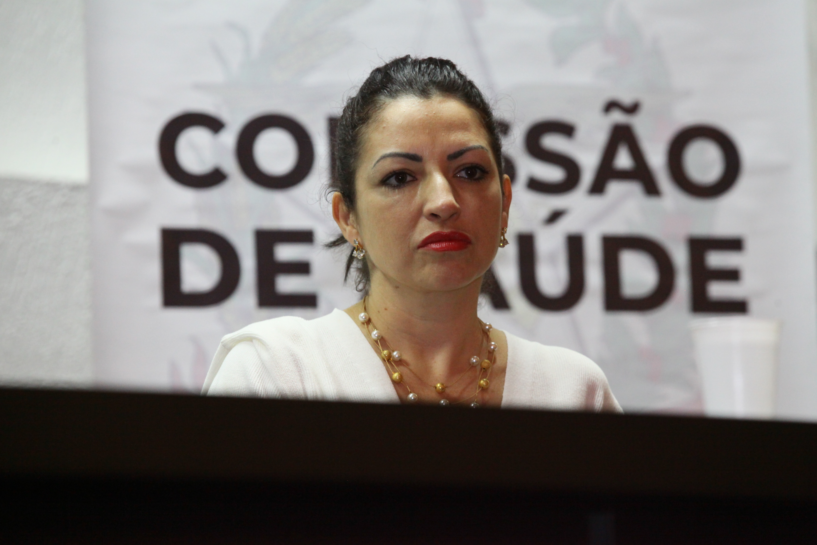 Seminário de Capacitação na Atenção à Saúde das Pessoas com Estomias