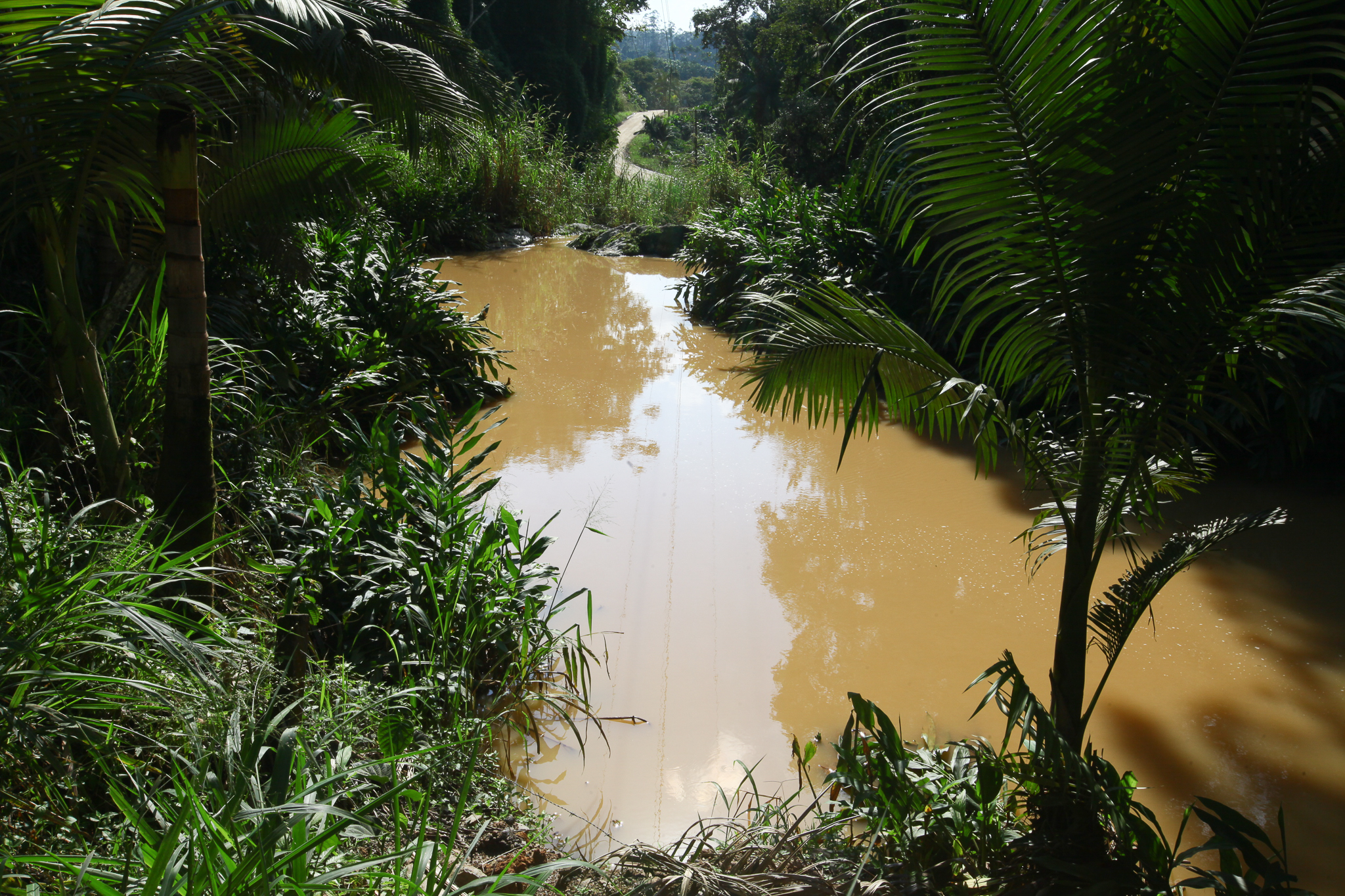 Audiência Pública para discutir a Contaminação Ambiental do Rio 7 de janeiro e, Massaranduba, SC