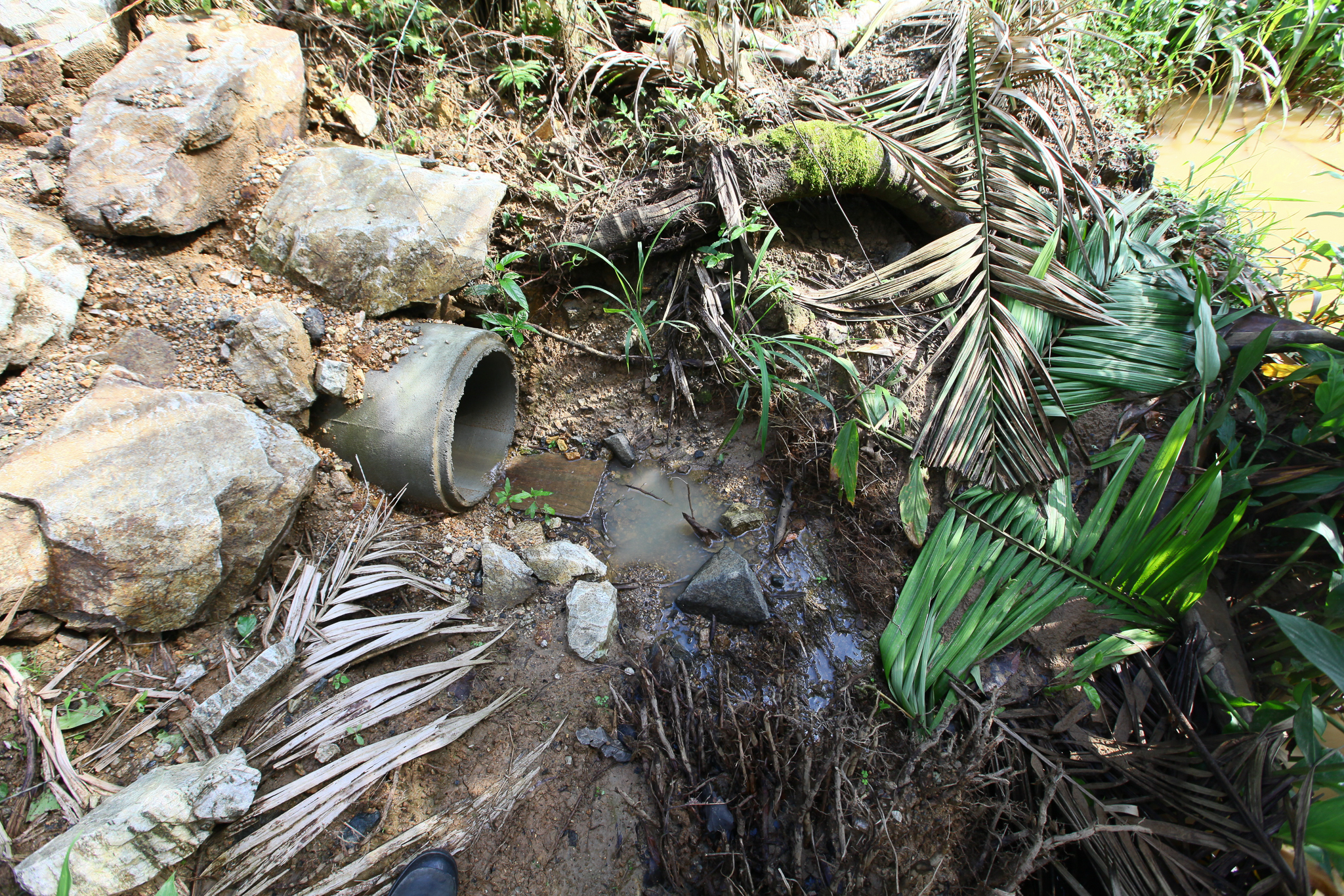 Audiência Pública para discutir a Contaminação Ambiental do Rio 7 de janeiro e, Massaranduba, SC