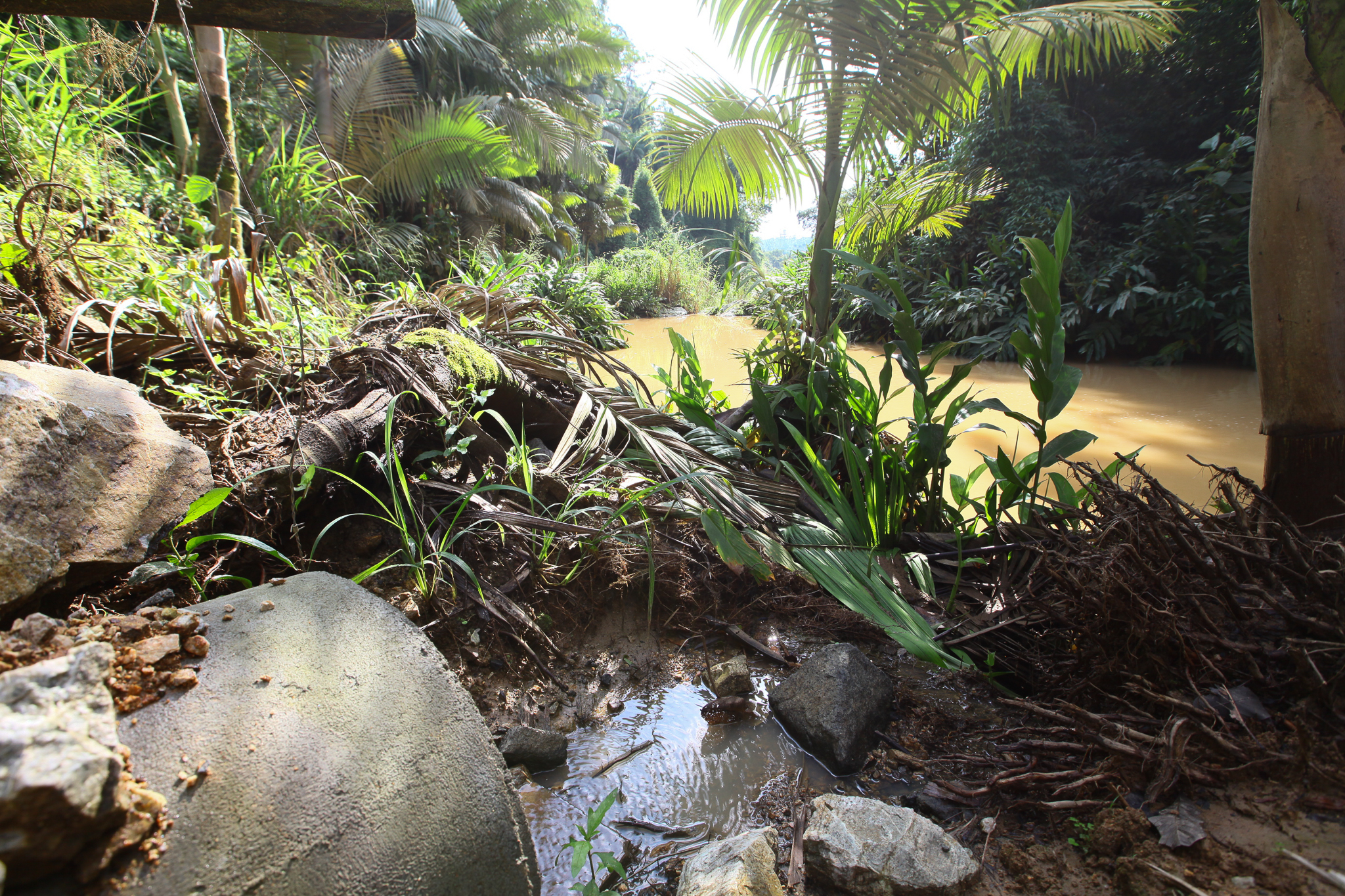 Audiência Pública para discutir a Contaminação Ambiental do Rio 7 de janeiro e, Massaranduba, SC