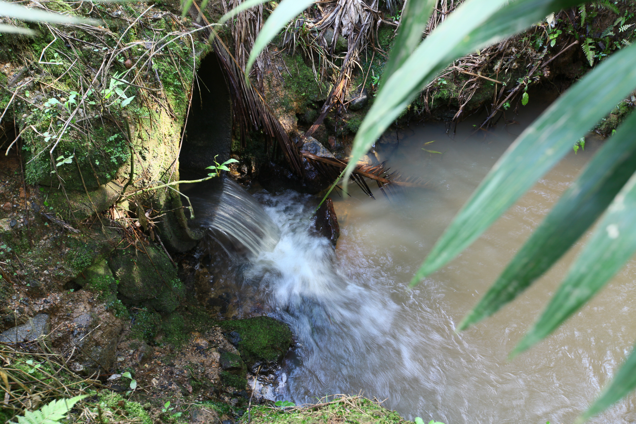 Audiência Pública para discutir a Contaminação Ambiental do Rio 7 de janeiro e, Massaranduba, SC