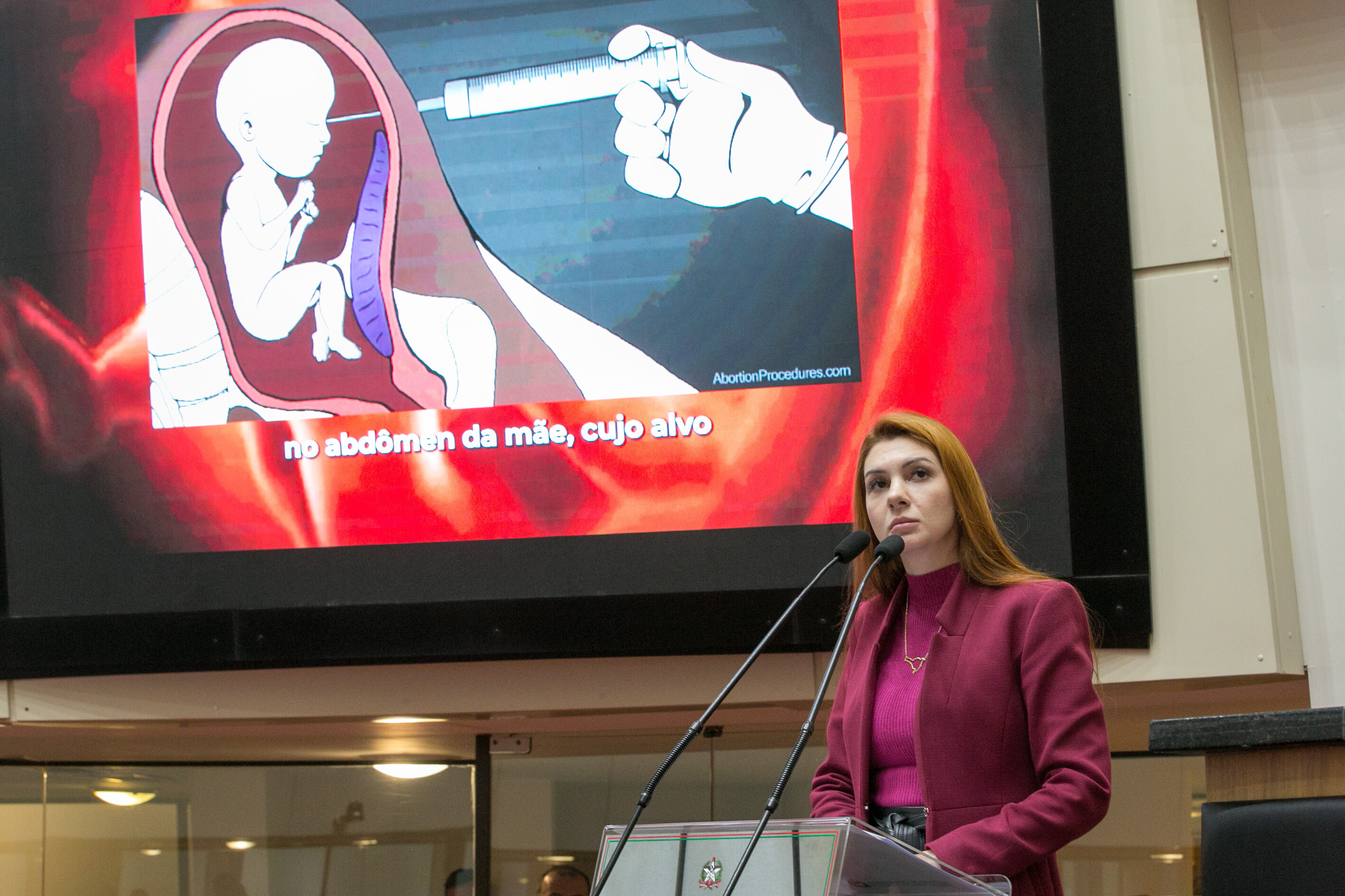 CPI do aborto tem 14 assinaturas, anunciam deputados