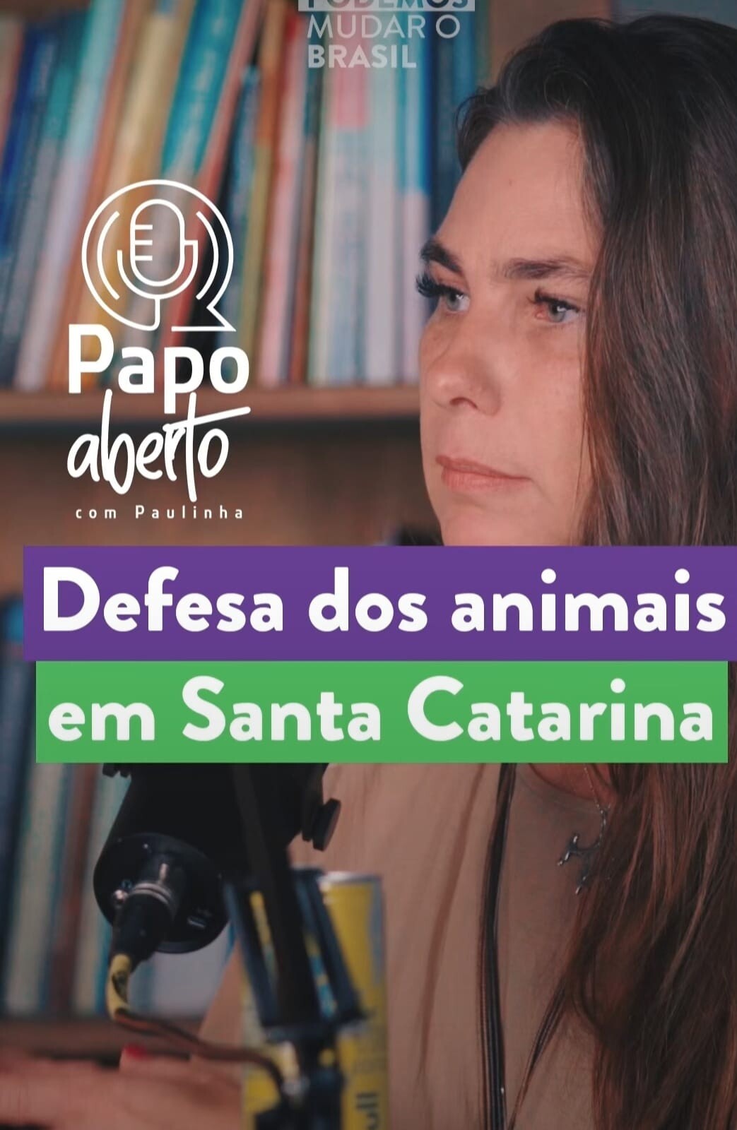 Segundo episódio do Papo Aberto com Paulinha trata da sua atuação efetiva pela causa animal
