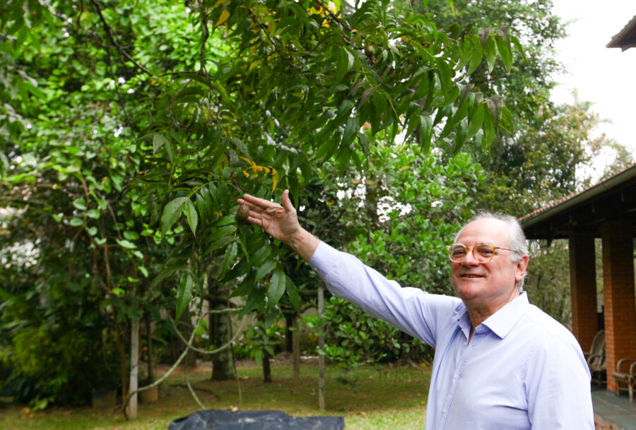 As árvores e plantas cultivadas no quintal da casa são uma das paixões de Caropreso