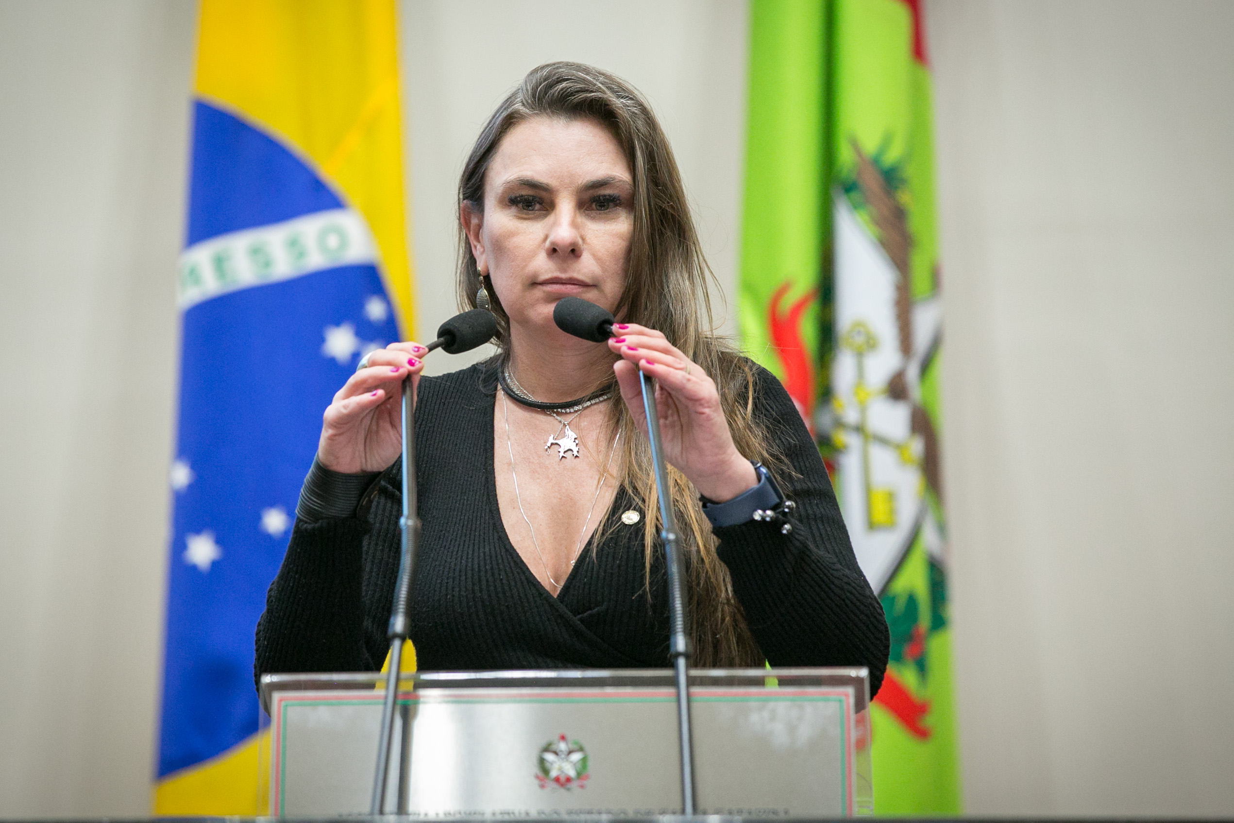 Deputada Paulinha (Podemos)