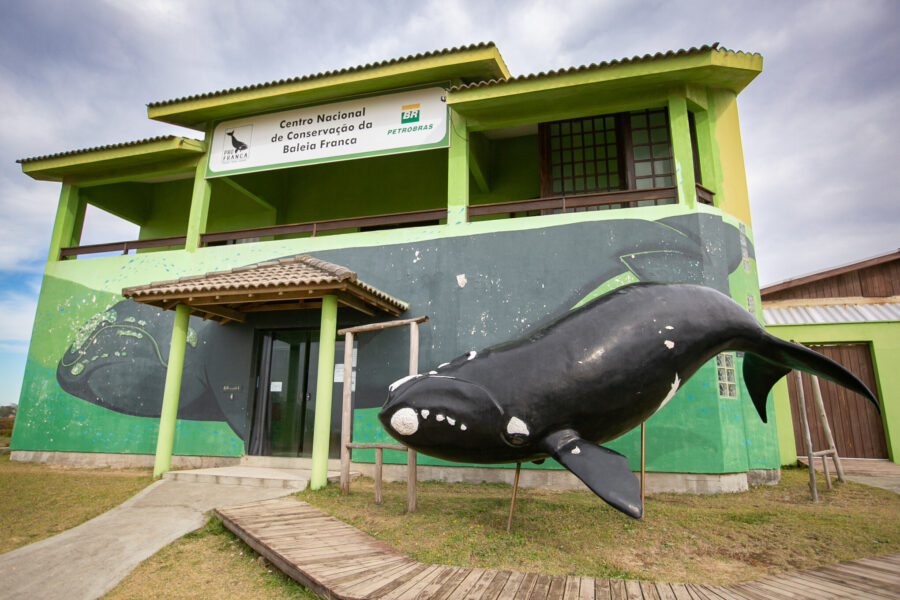 Instituto Australis, em Imbituba, atua na preservação das baleias francas.