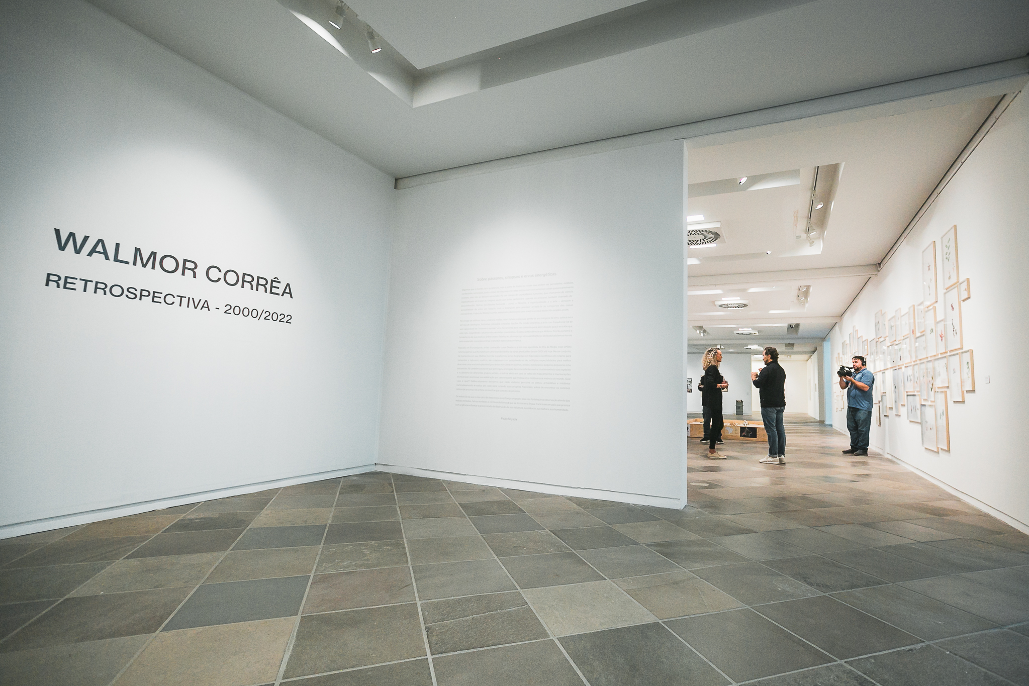 Cultura Catarina – Exposição de Walmor Corrêa no MASC
