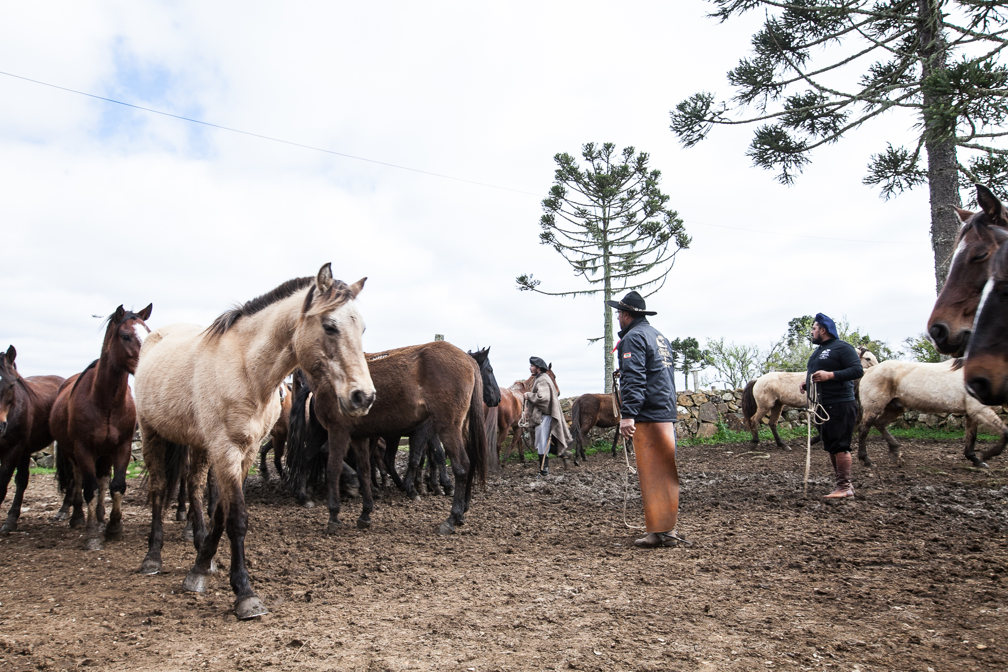Fazenda da Chapada