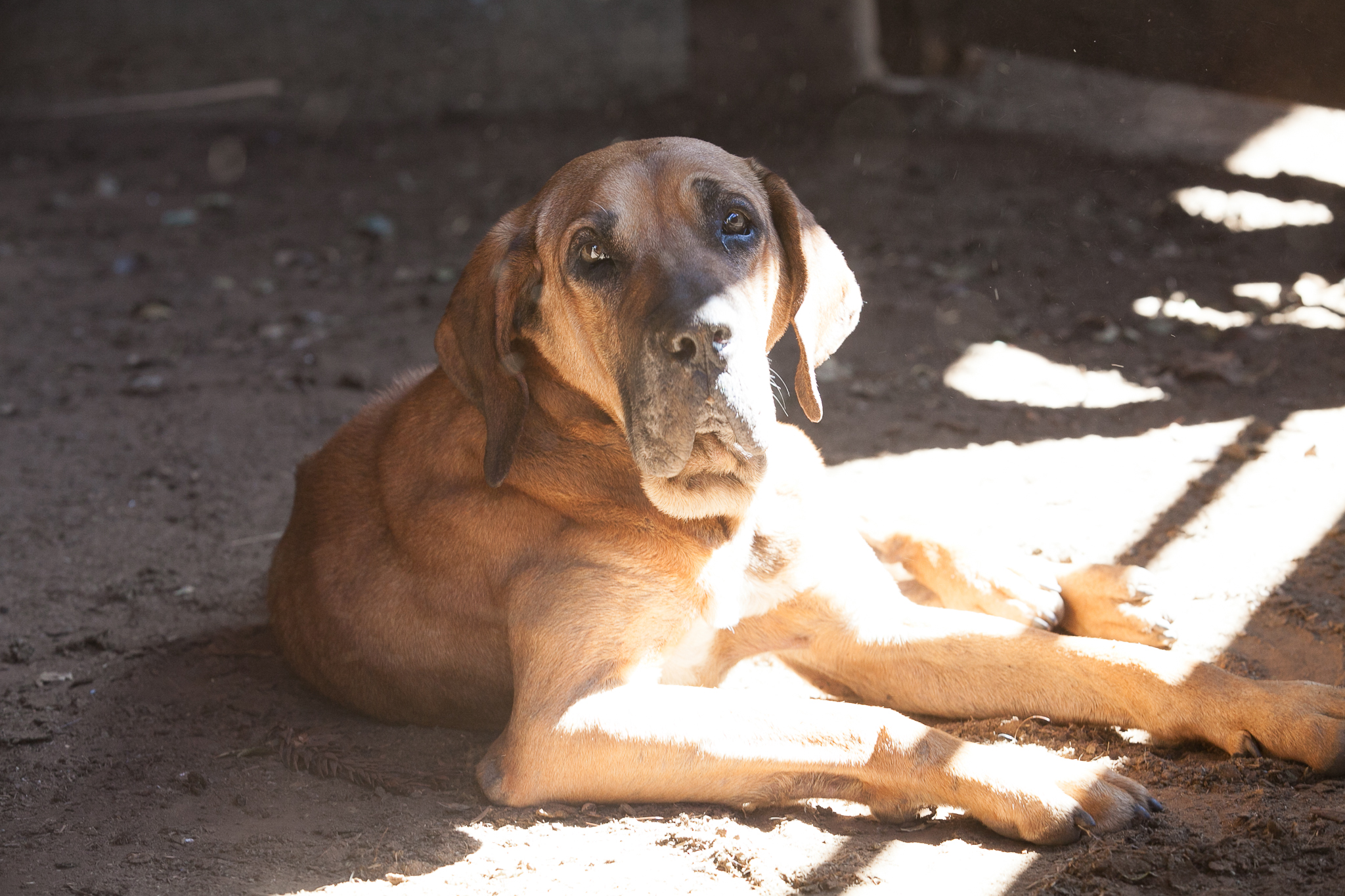 Fazenda Igrejinha