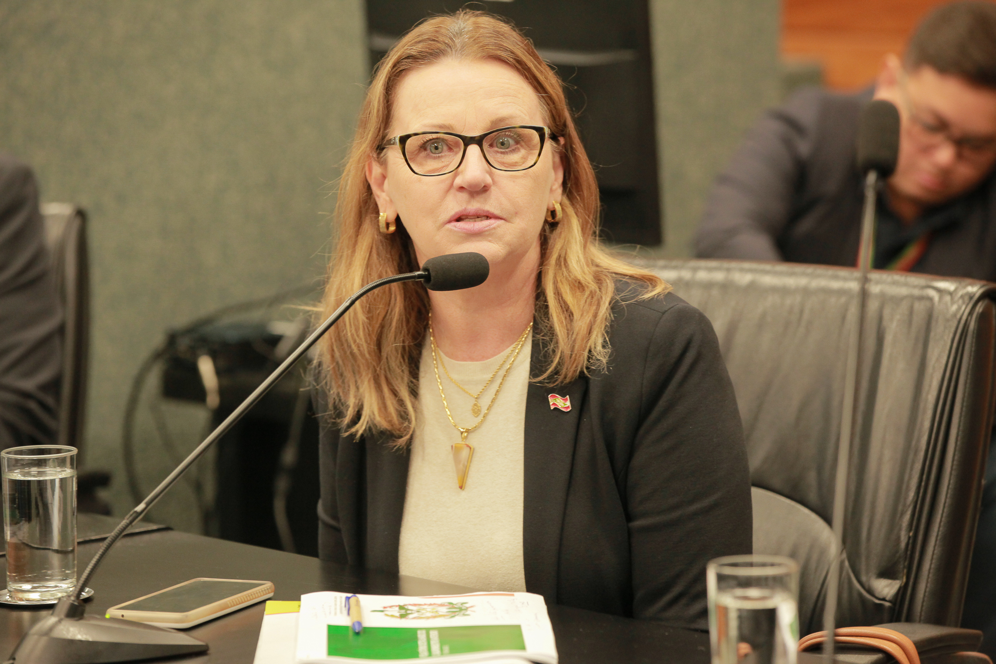 Audiência Pública -  Prestação de Contas pela Secretaria de Estado da Saúde de SC - Carmem Regina Delziovo