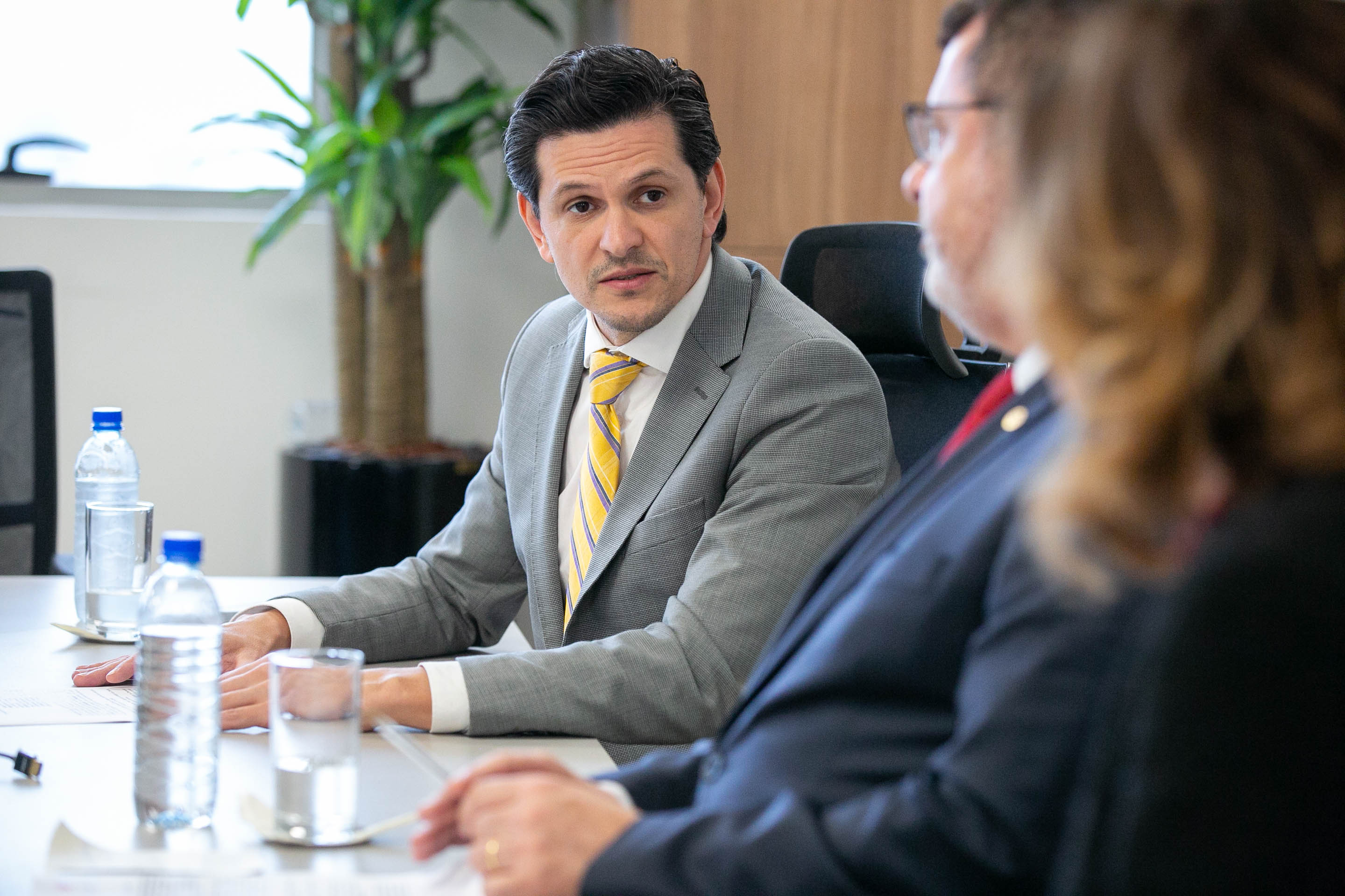 Subprocurador-geral de Justiça para Assuntos Institucionais, Alexandre Estefani